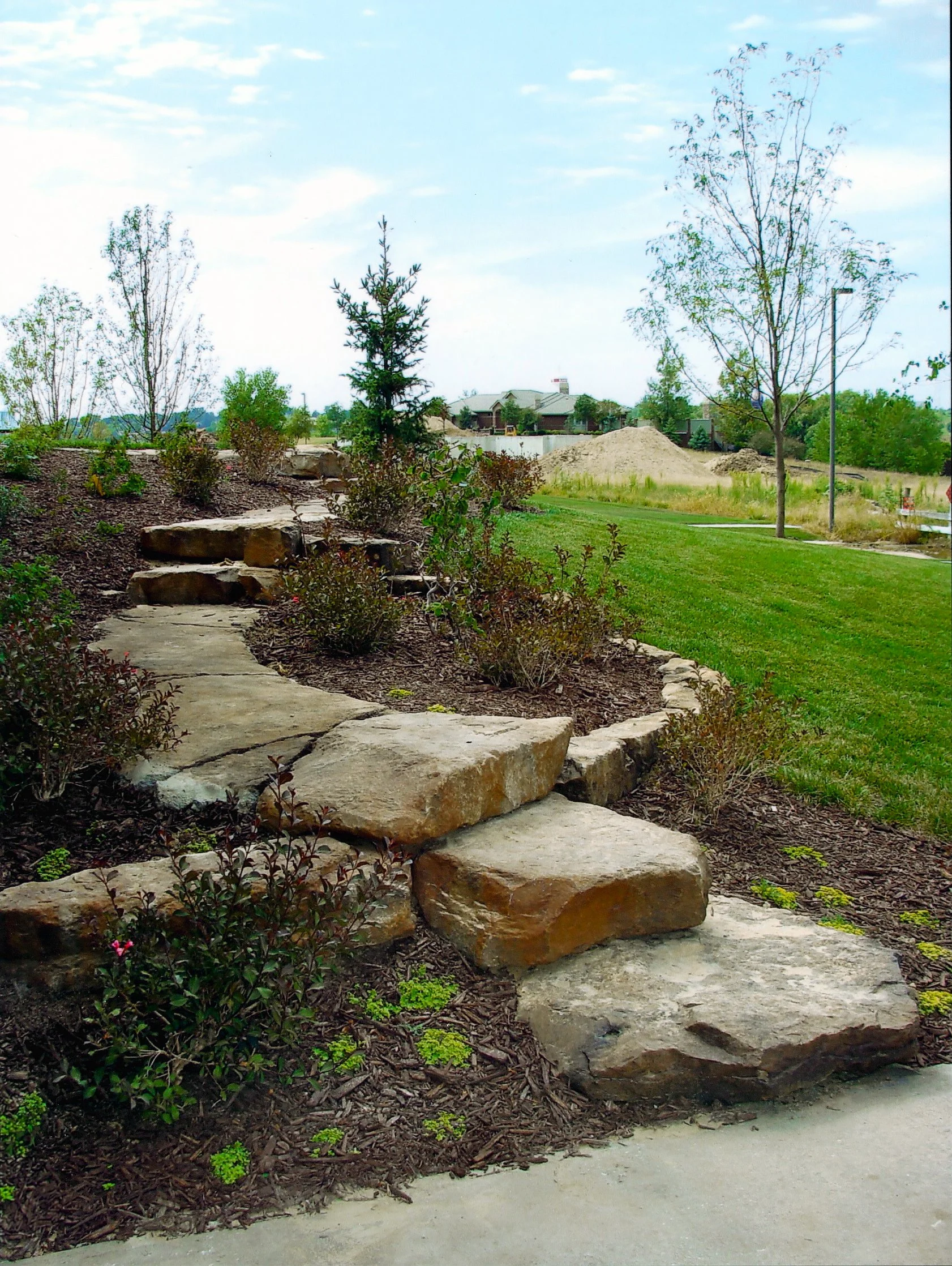 Scan 17 original2F.jpg