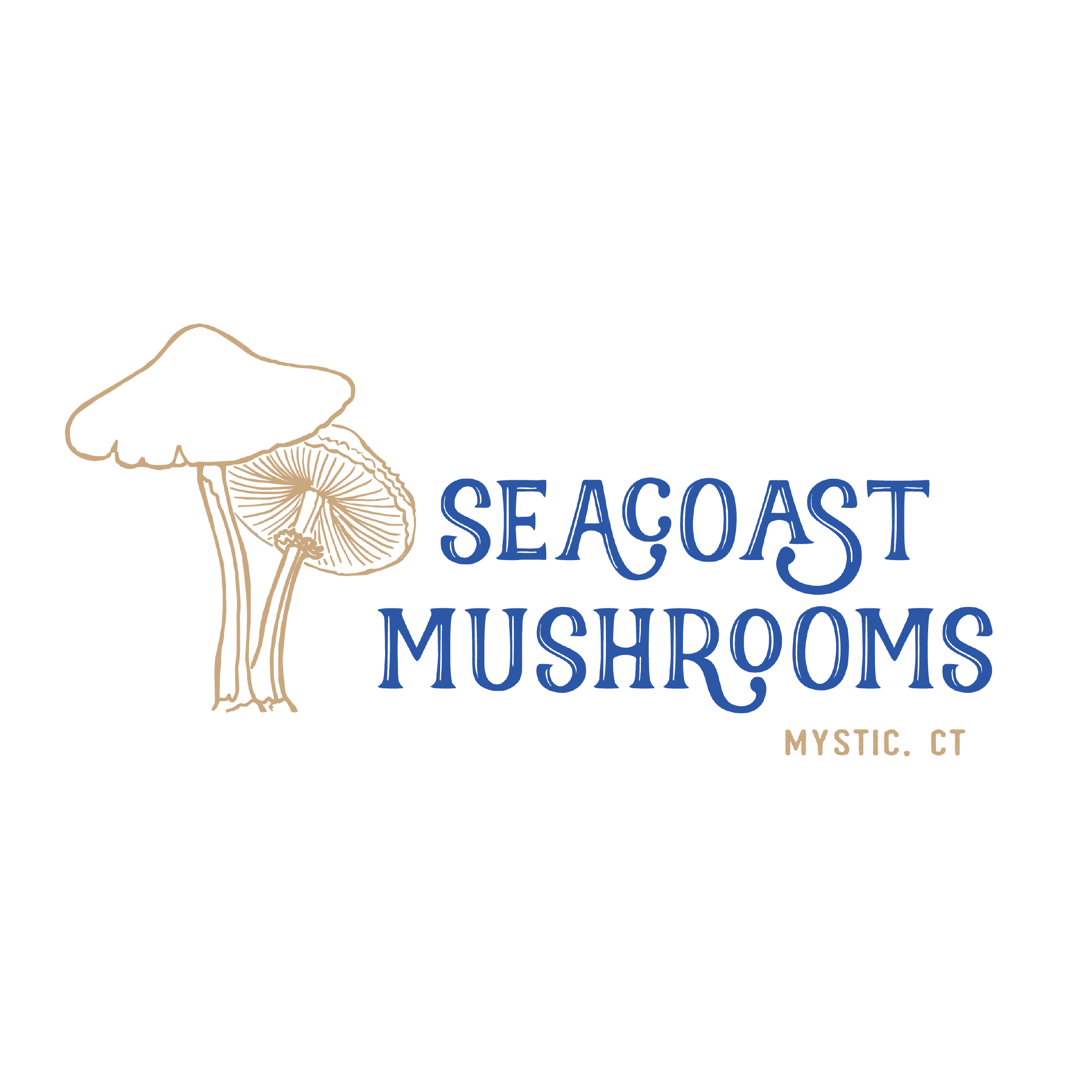 SEACOAST MUSHROOMS.png