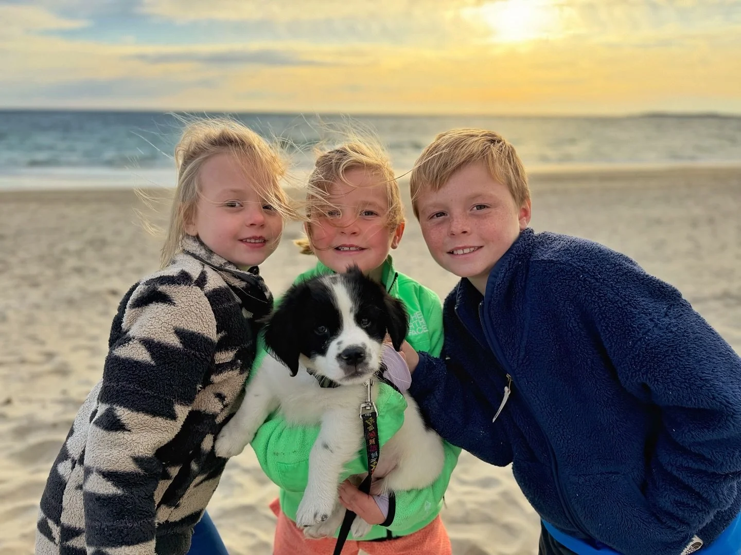 getting jetty used to the beach early 🐶