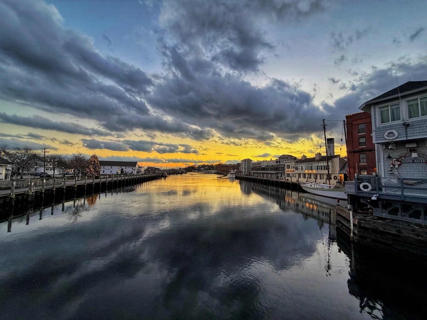 getting into the spirit 🎄