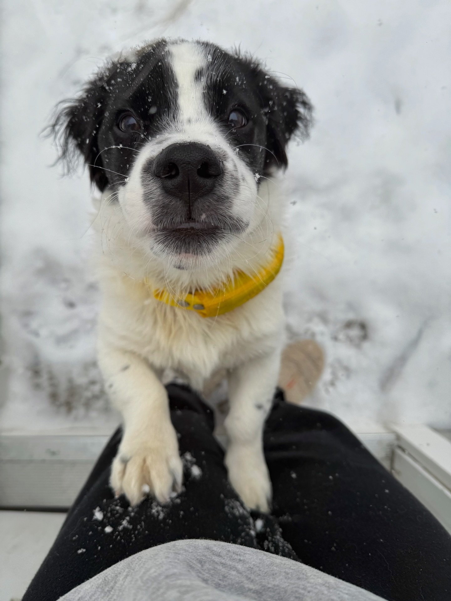 summers comin&rsquo;