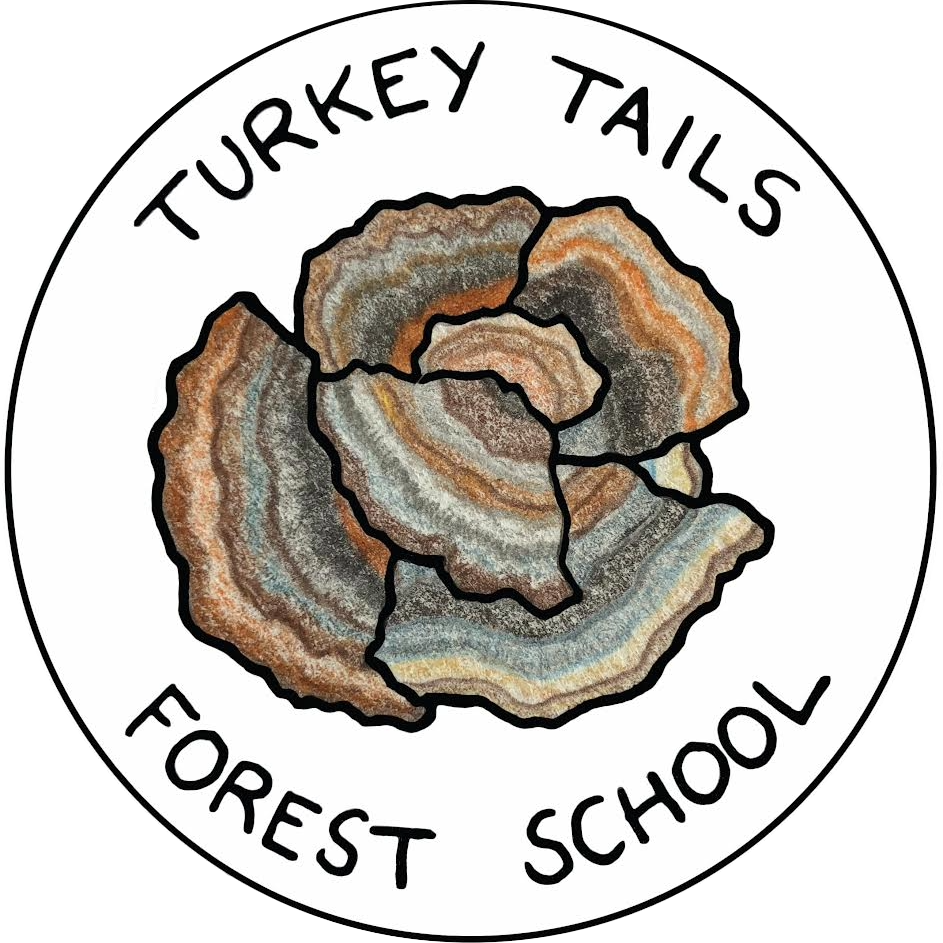 Turkey Tails Forest School