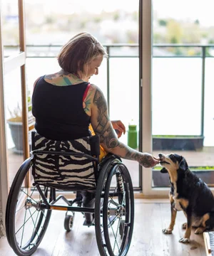 COLORADO STATE TAX CREDITS visual data 2