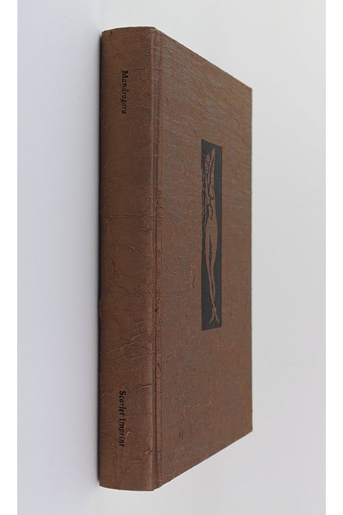 Standard Edition