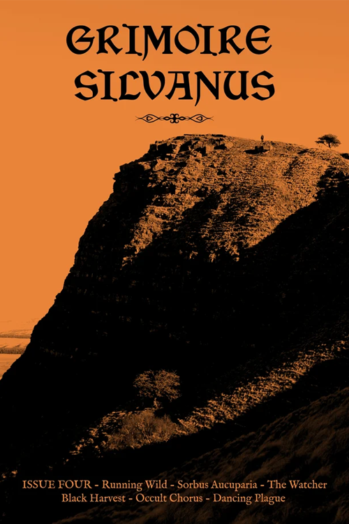 Issue 4.png