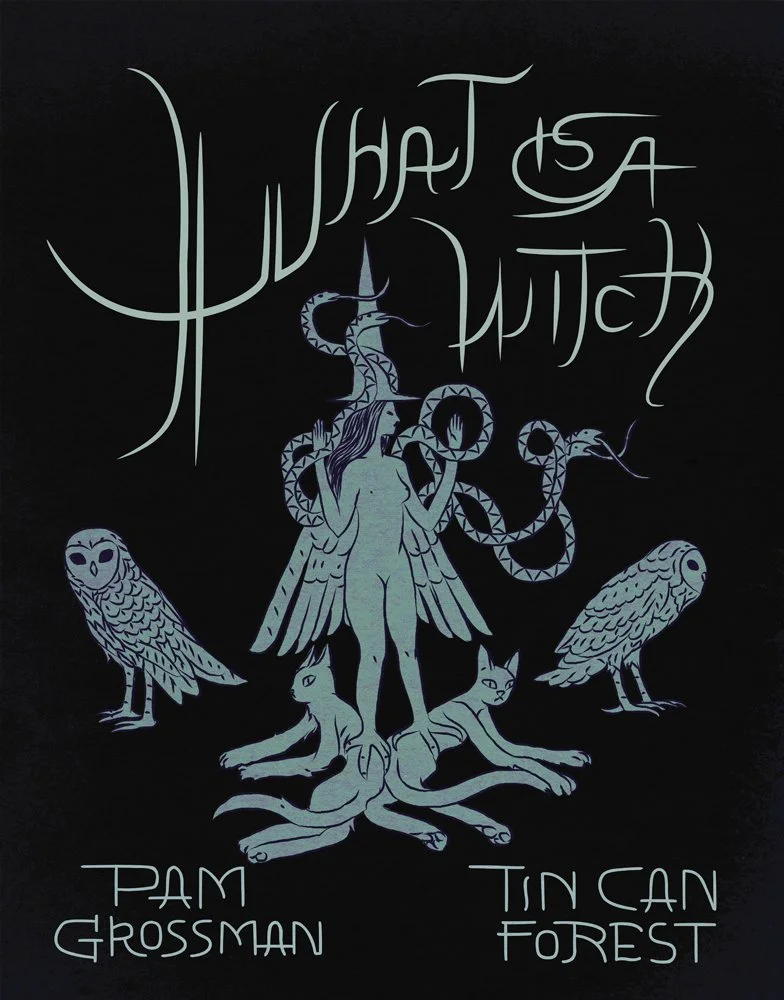What_Is_A_Witch_bookCover.jpg