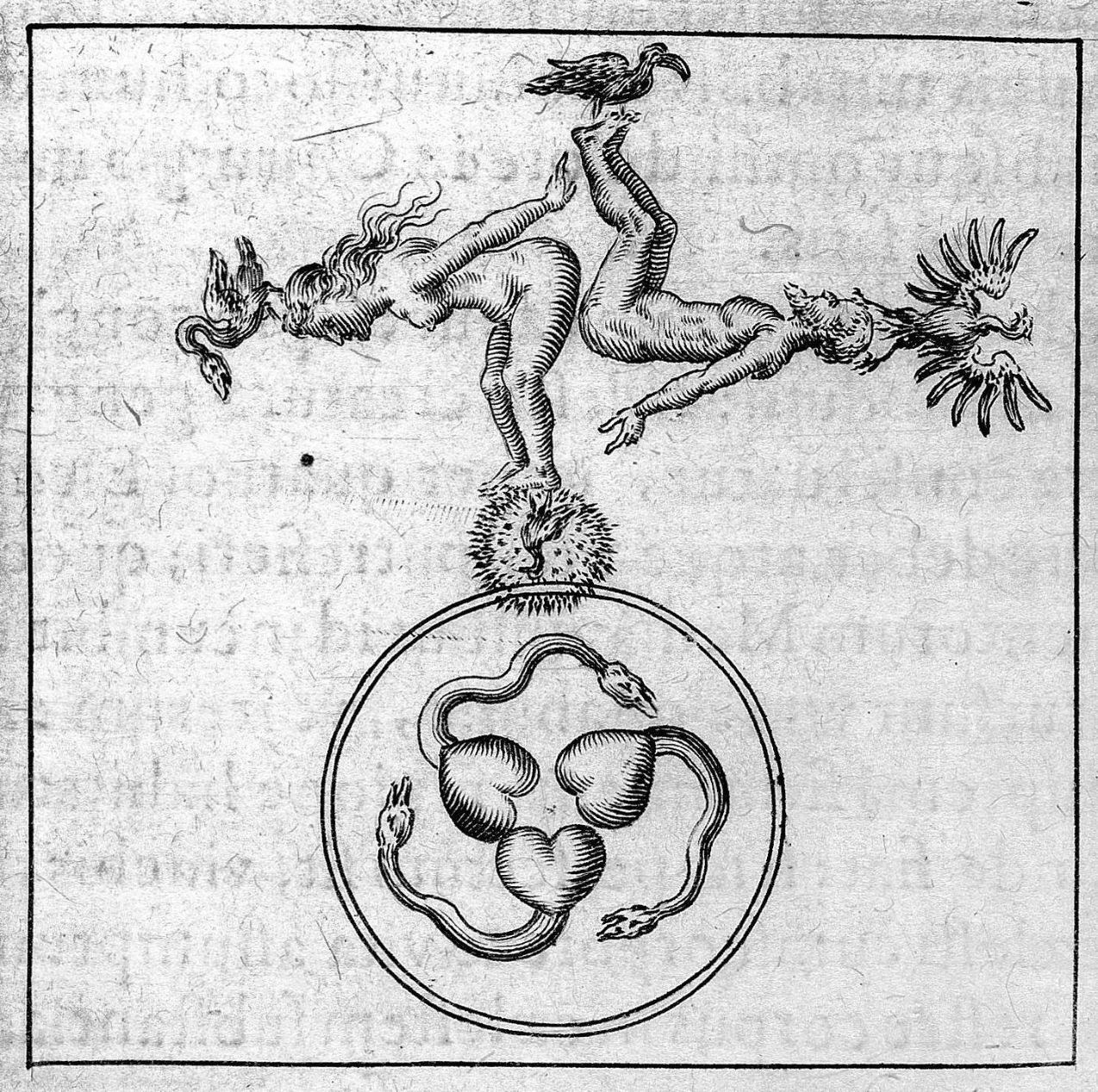 A Cryptic Key to the Alchemical Kingdom