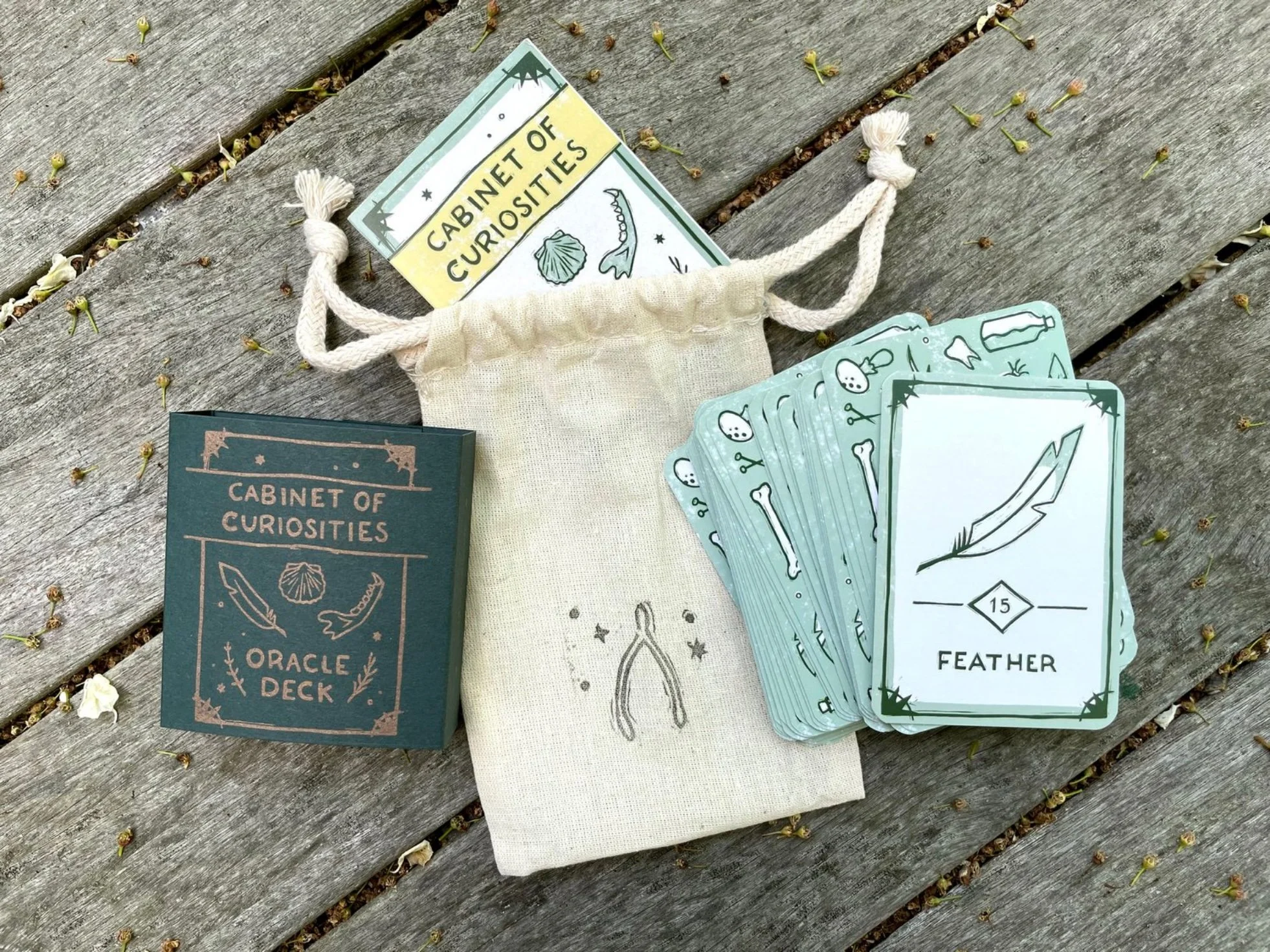 Cabinet of Curiosities