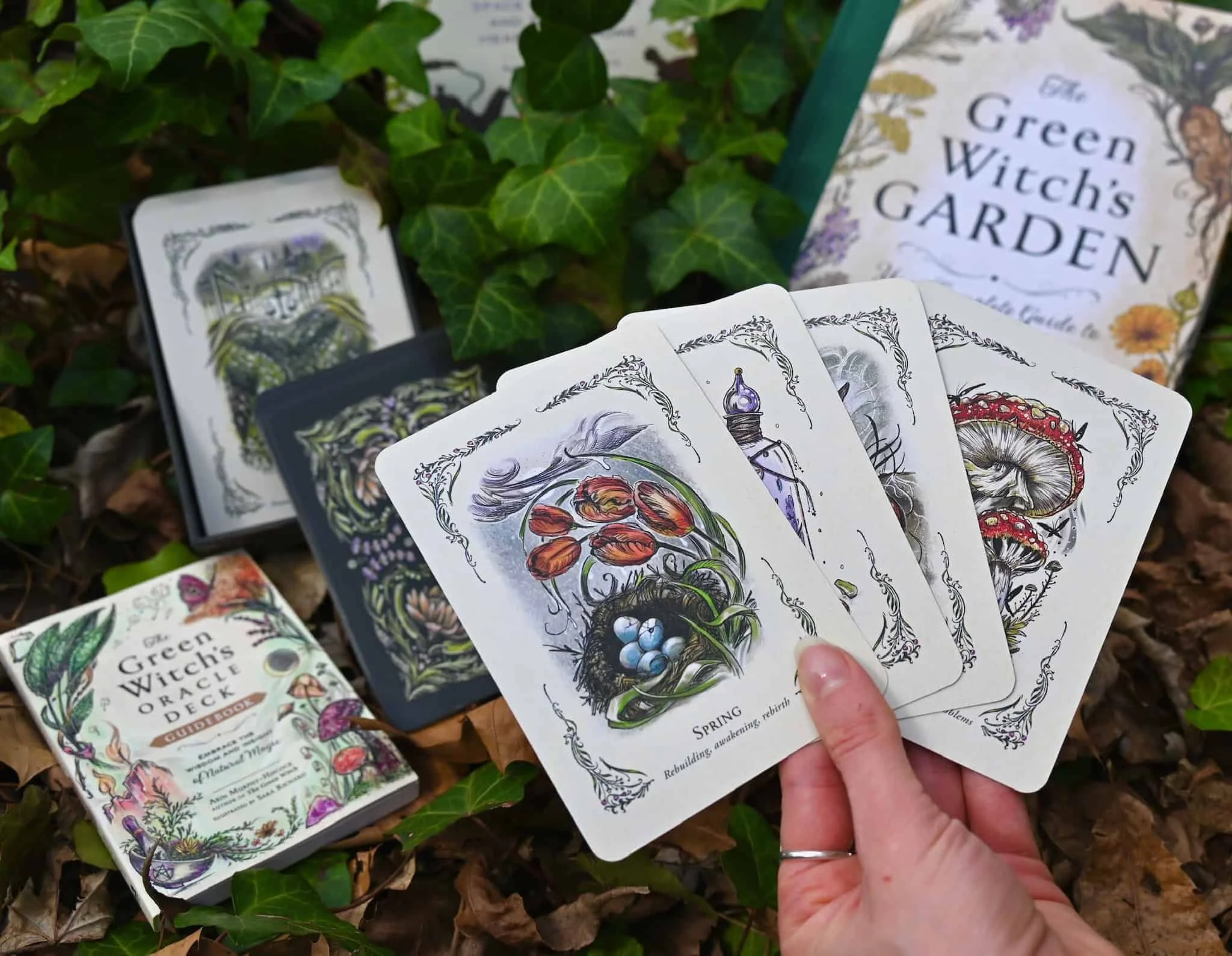 The Green Witch's Oracle Deck Embrace the Wisdom and Insight