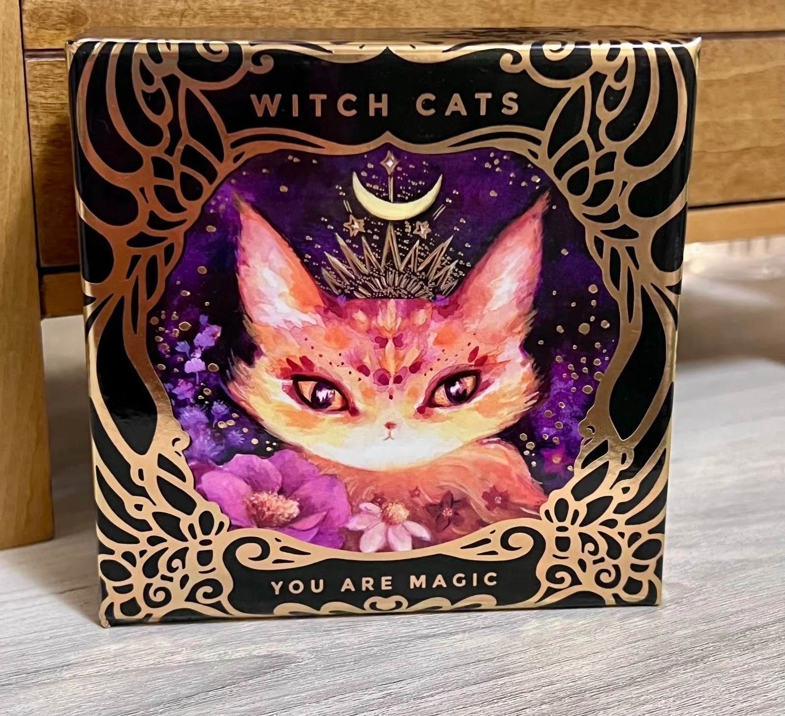 Witch Cats Oracle Deck