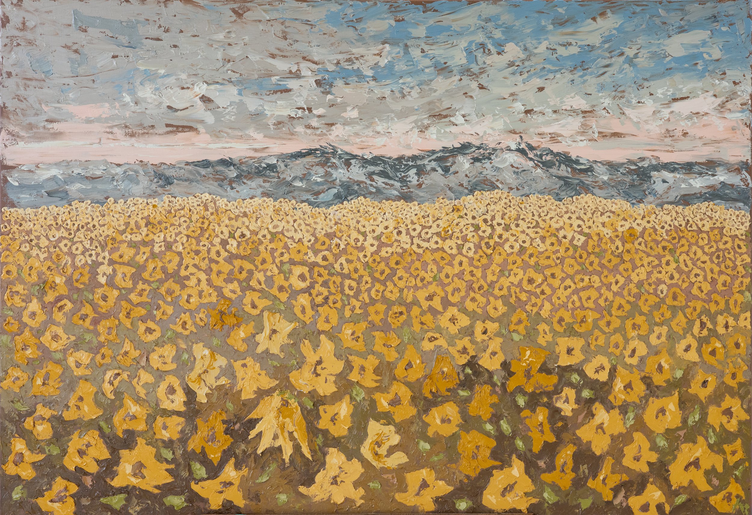 Tournesols, Castillon 2, 2023. Oil on cotton -
90x130cm / 35,4 x 51 inches