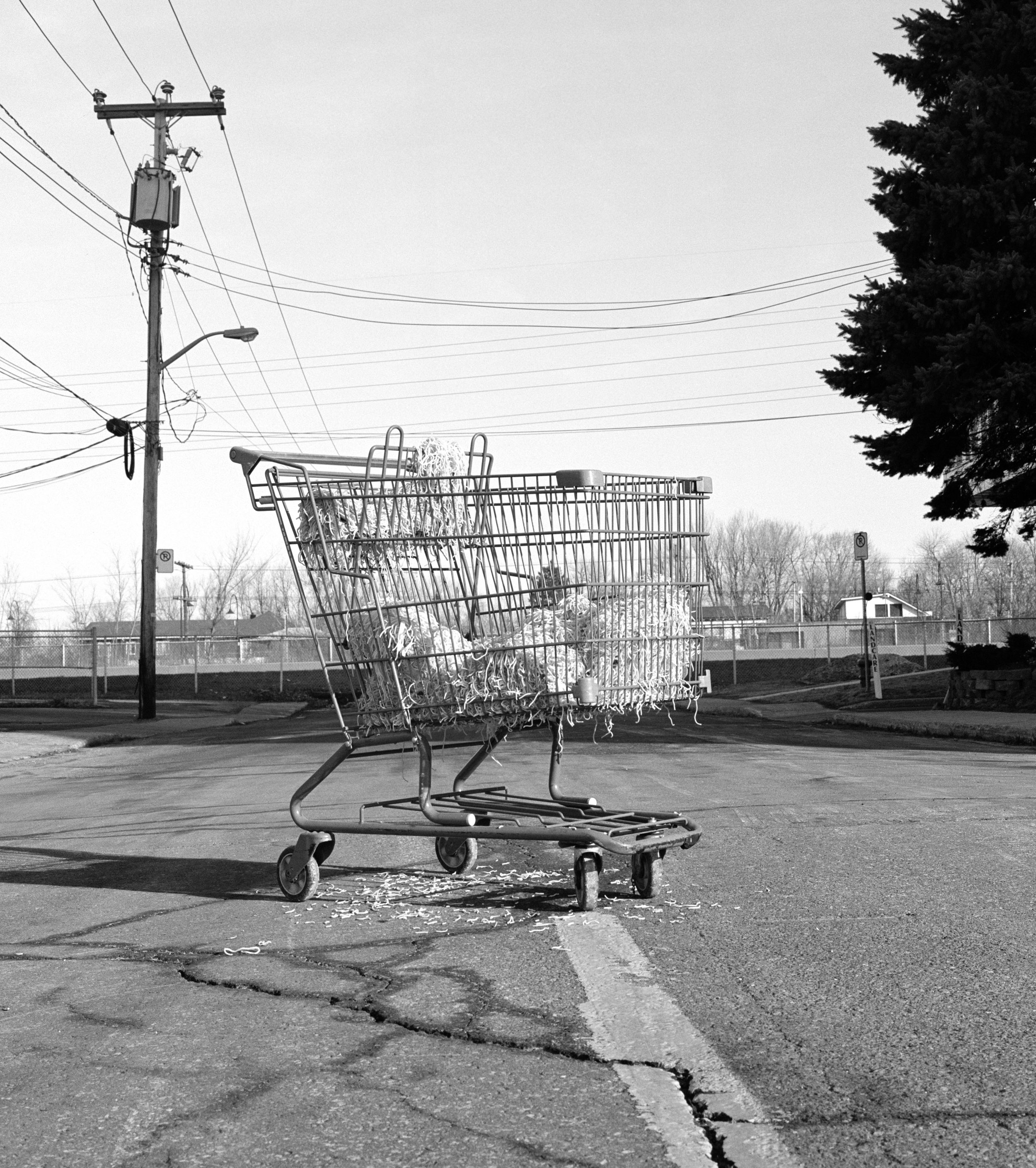Spaghetti Montréal, 2014, (medium format), 100 x 80cm, hahnemuhle photo rag 310 paper