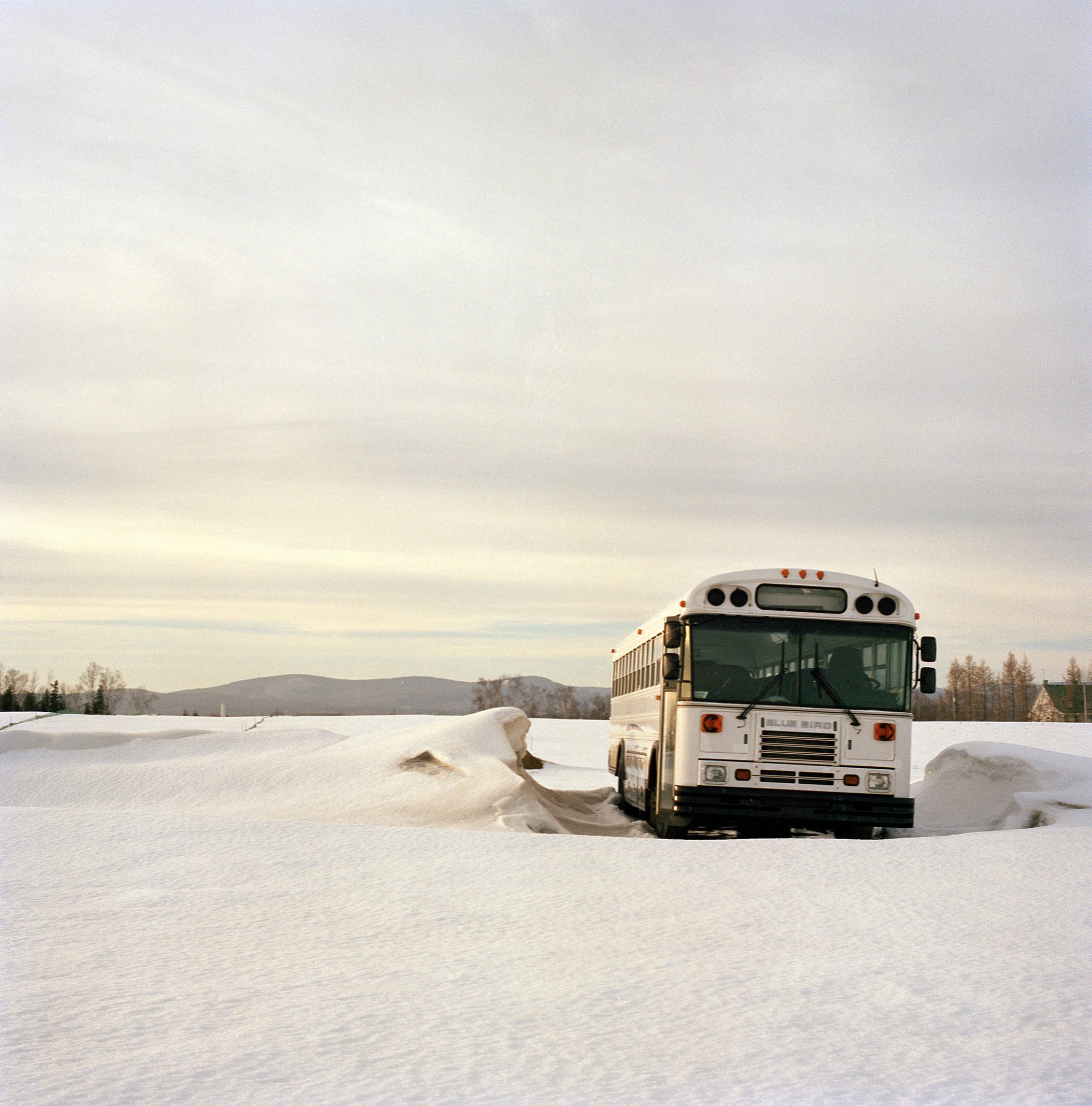 Île d'Orléans, Québec series, 2013, c-print 60x60cm