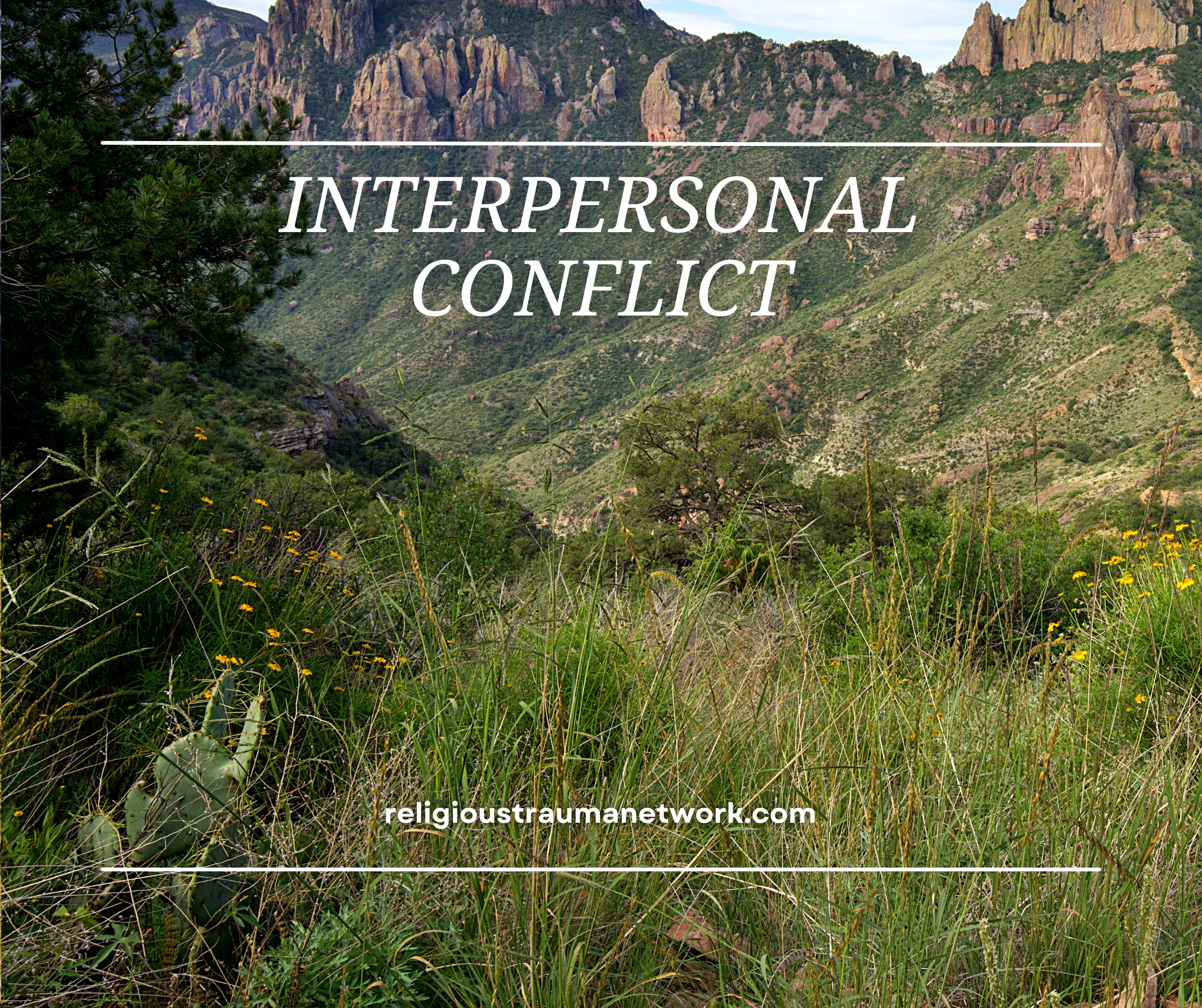 Interpersonal Conflict