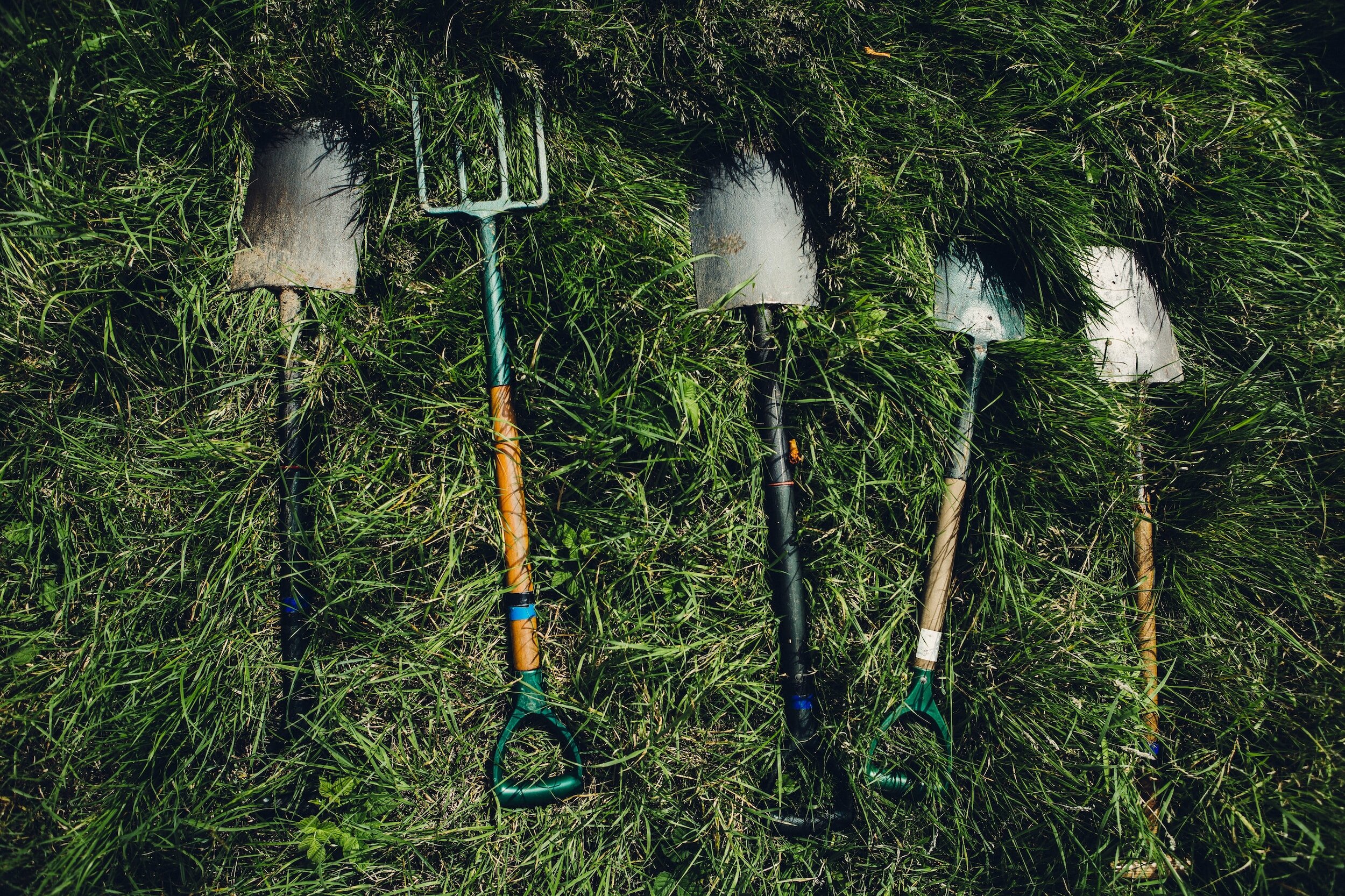 Top 5 tools every gardener needs