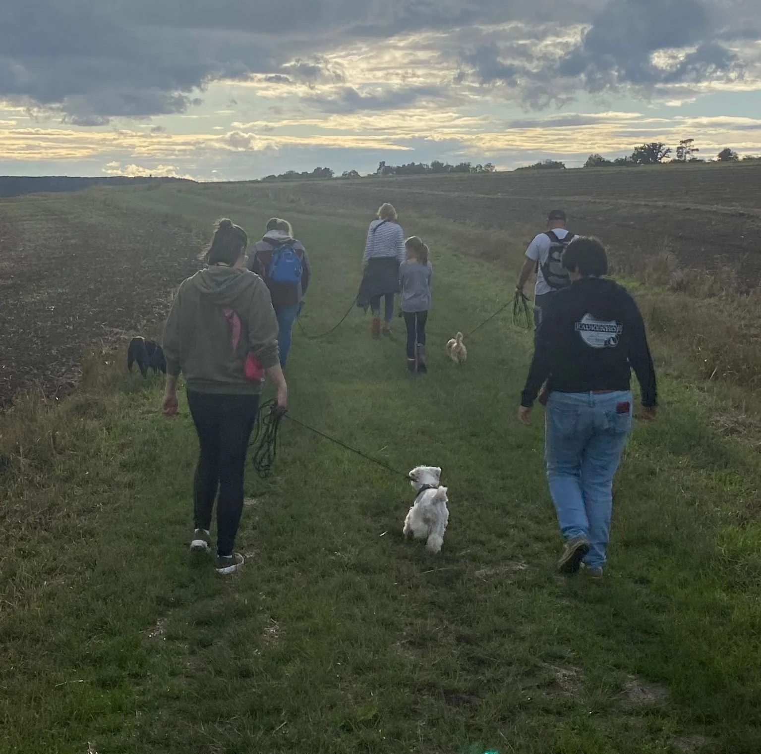 SocialWalk (60 Minuten)