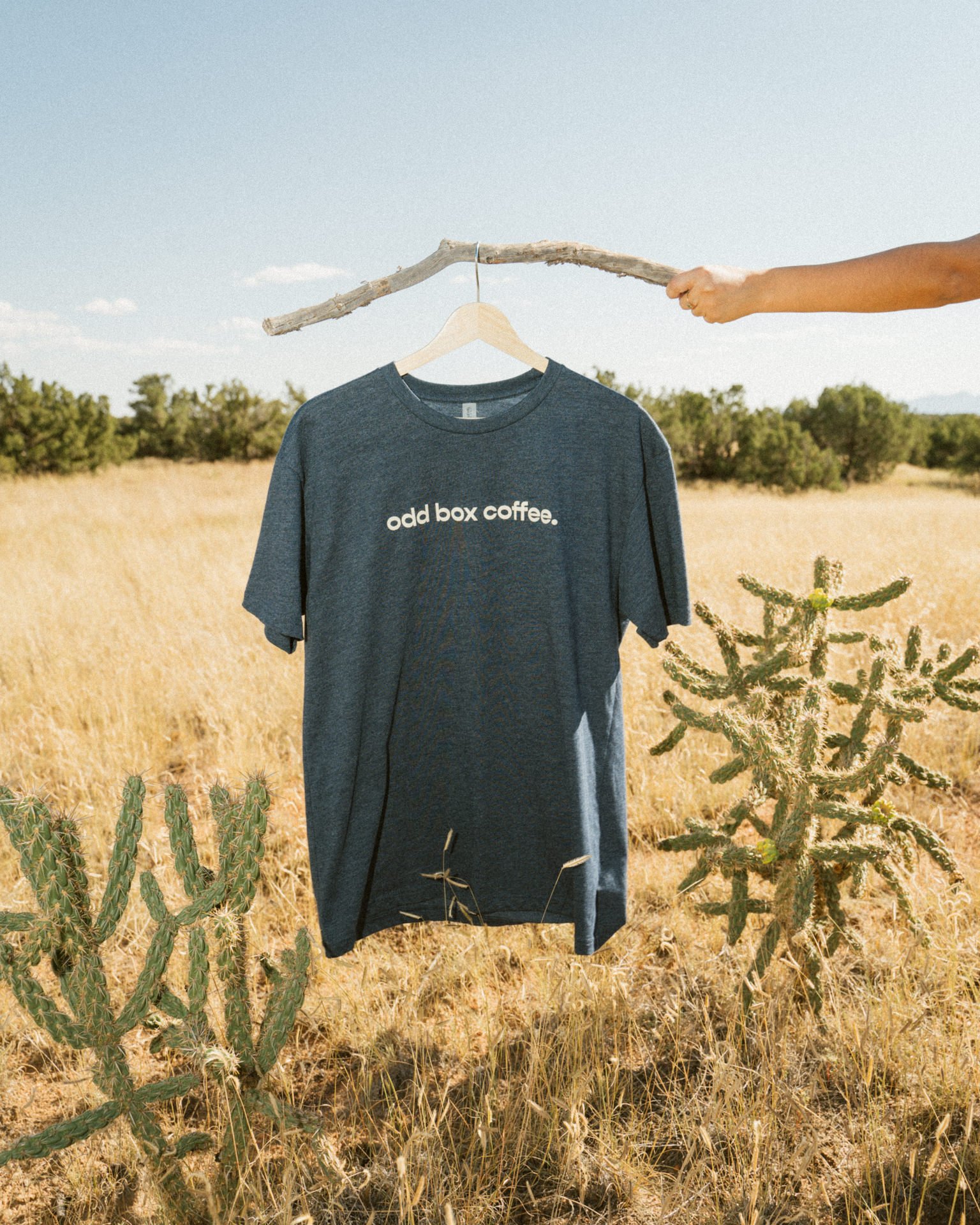 oddBoxMerch-6.jpg