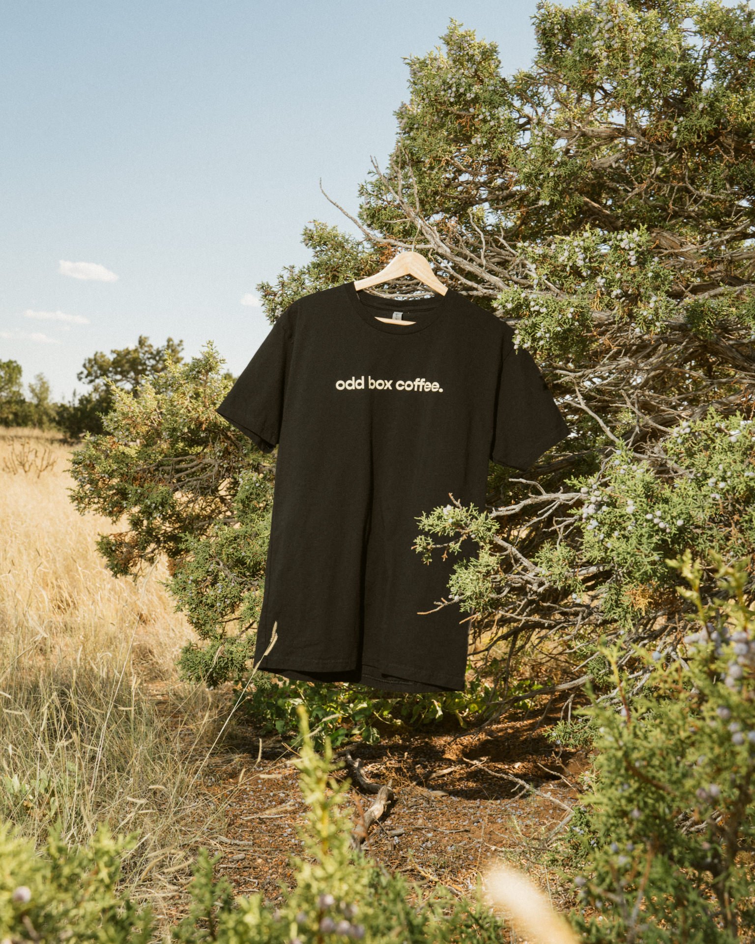 oddBoxMerch-3.jpg