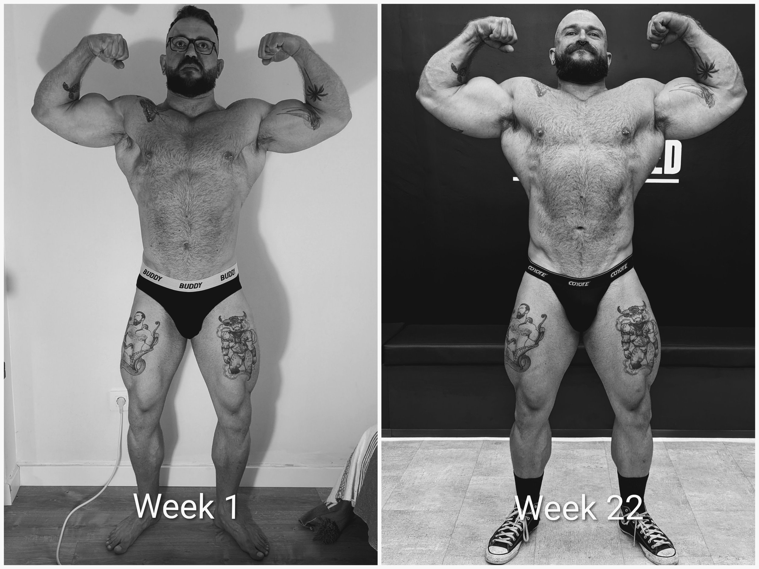 Colin Wealleans Muscle Bear Bulk Proof of Concept