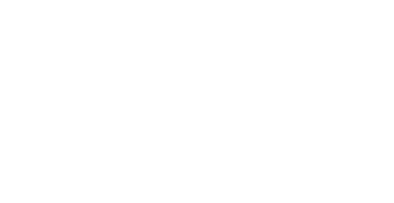 Emma Joy The Wedding Planner