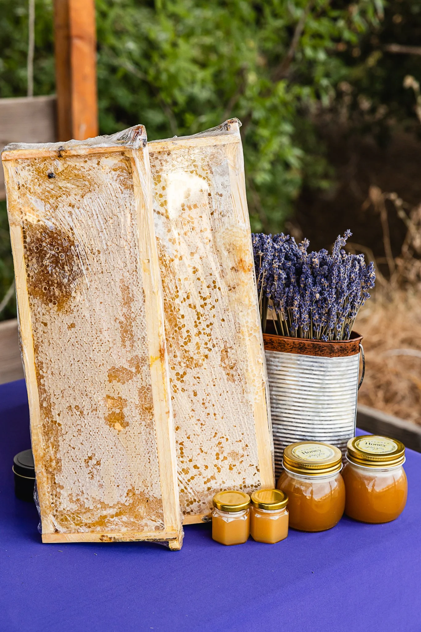 Honeycomb frames, jars of honey, and a metal container with lavender on a blue surface.