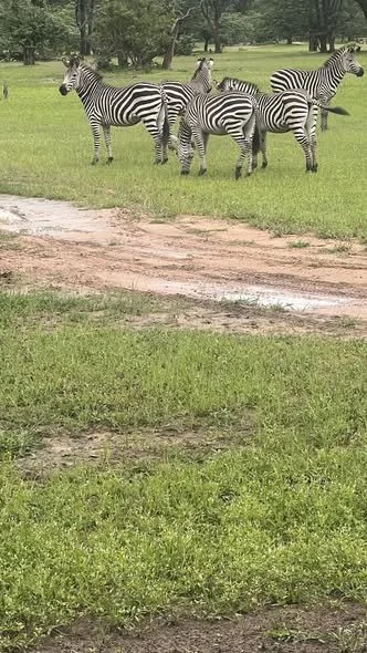 DISRUPTIVE CAMOUFLAGE--WHY TEAMWORK MATTERS