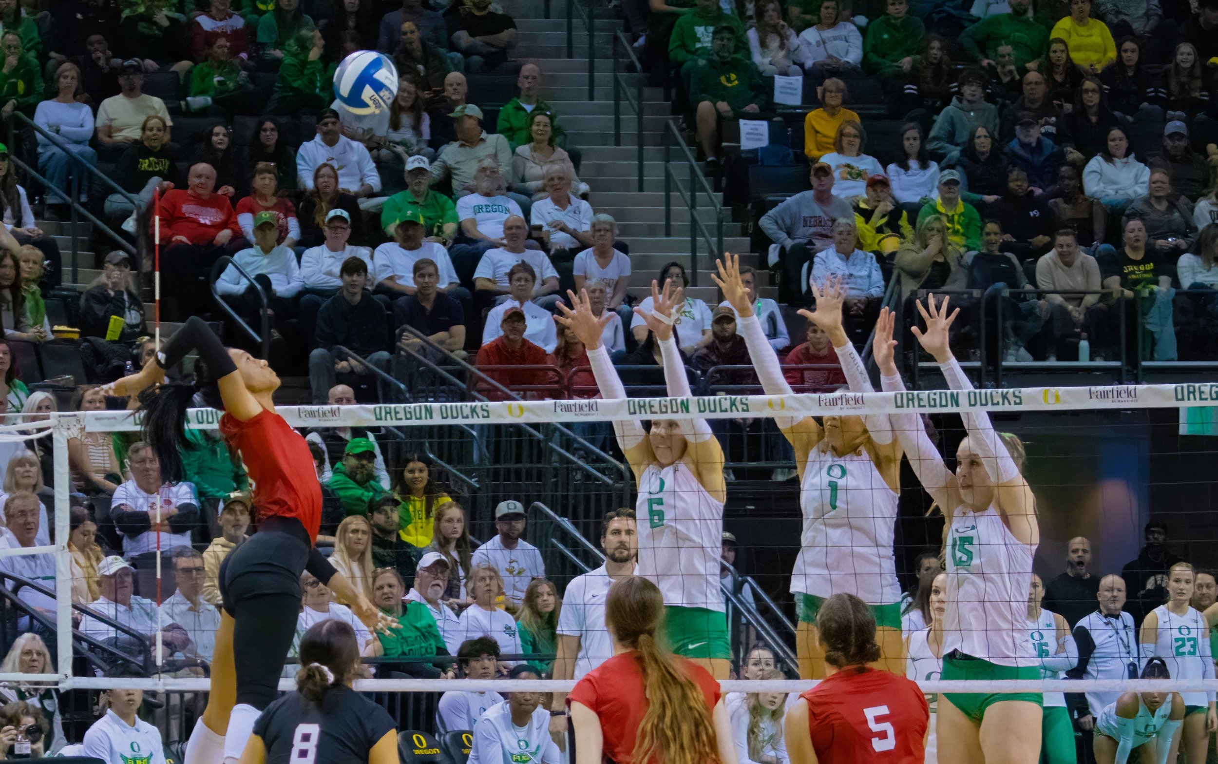 University of Nebraska cornhusker, outside hitter, Harper Murray, #27, prepares to spike against three defensive blockers from University of Oregon, Sophie Gregoire, #6, Outside Hitter, Mia Tvrdy, #1, Middle Blocker, and Mimi Colyer, #15, Outside Hit