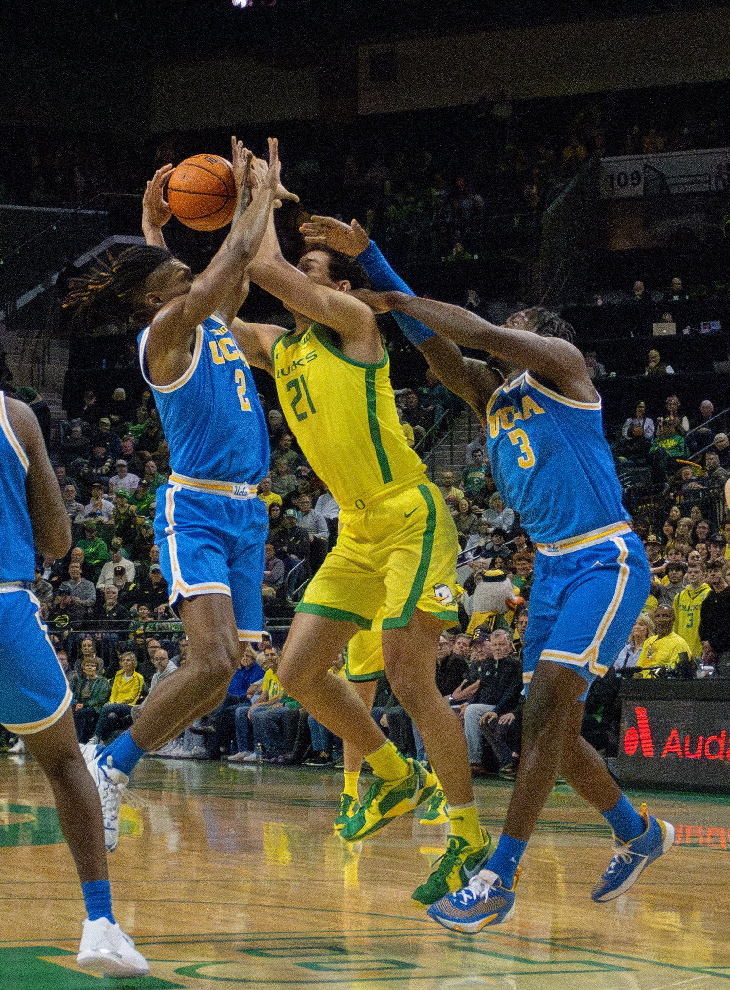 University of Oregon Brandon Angel, #21, battles against two UCLA opponents, Dylan Andrews, #2, and Eric Dailey Jr., #3, after a rebound for possession of the ball. Photo by Emily Manciu