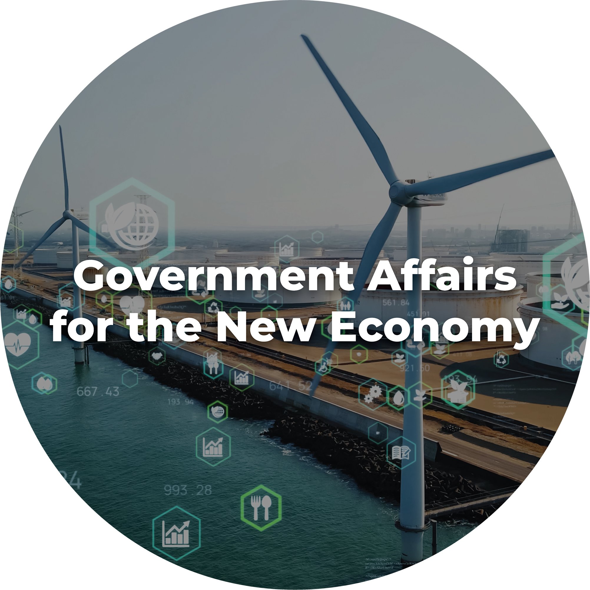 Government Affairs for the New Economy