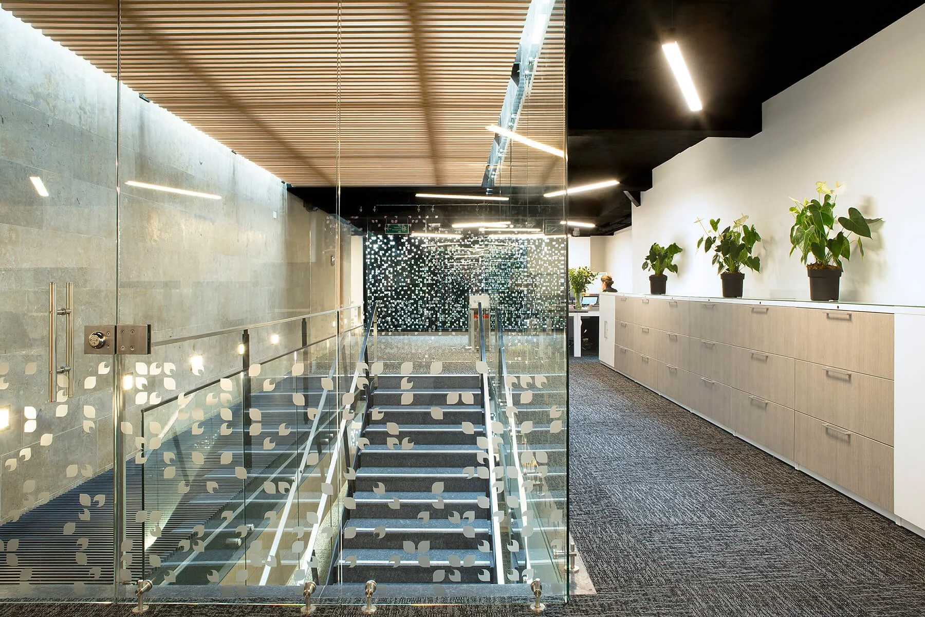 rir-arquitectos-3.jpg