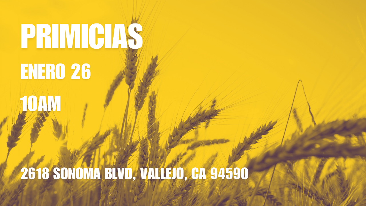 Primicias 2025