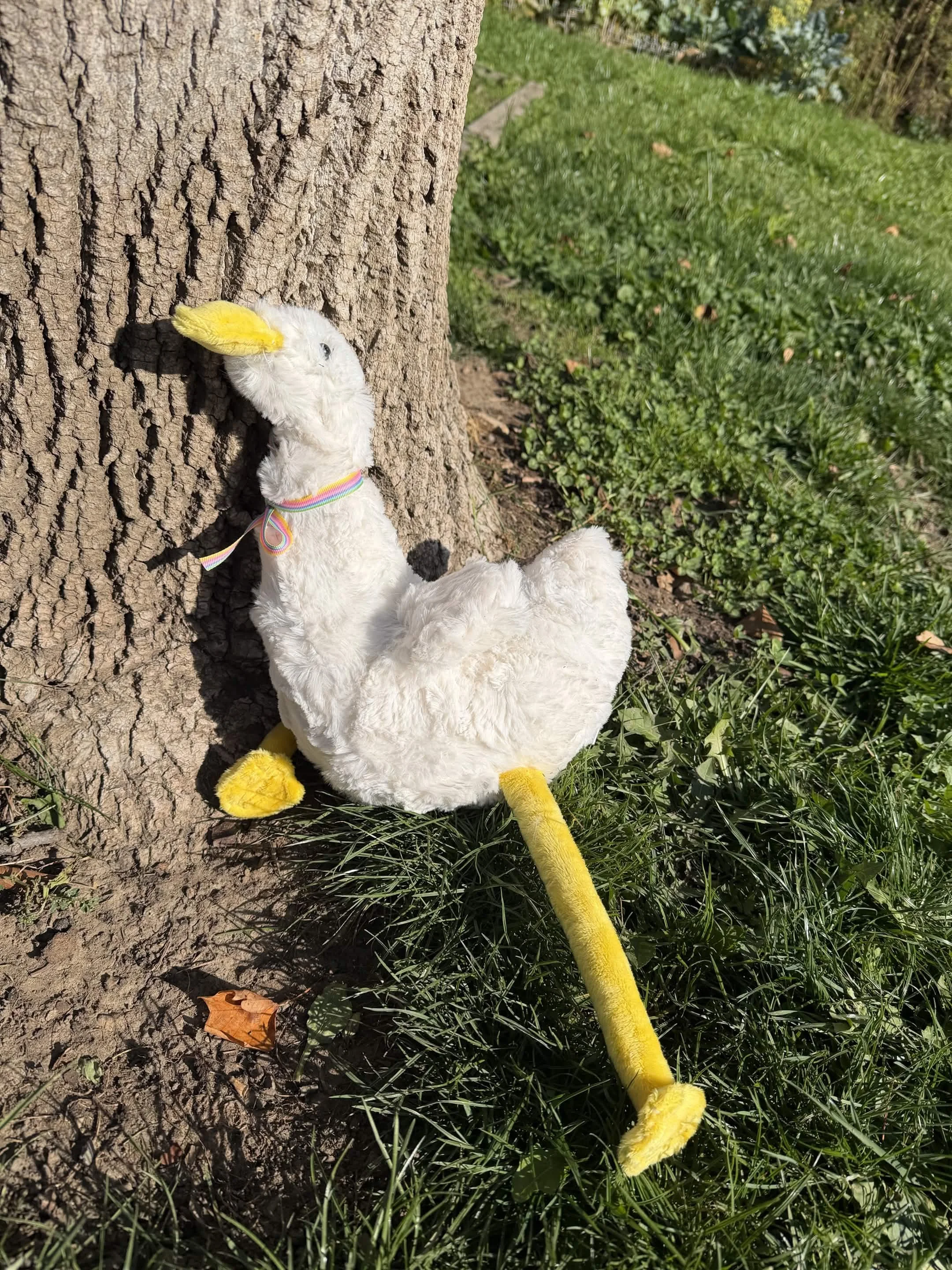 goose1.jpg