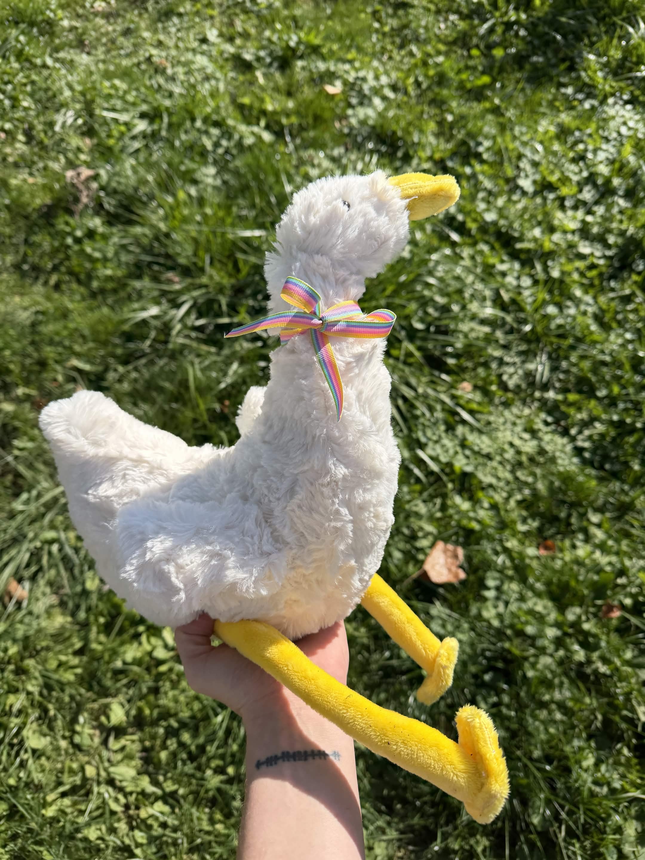 goose4.jpg