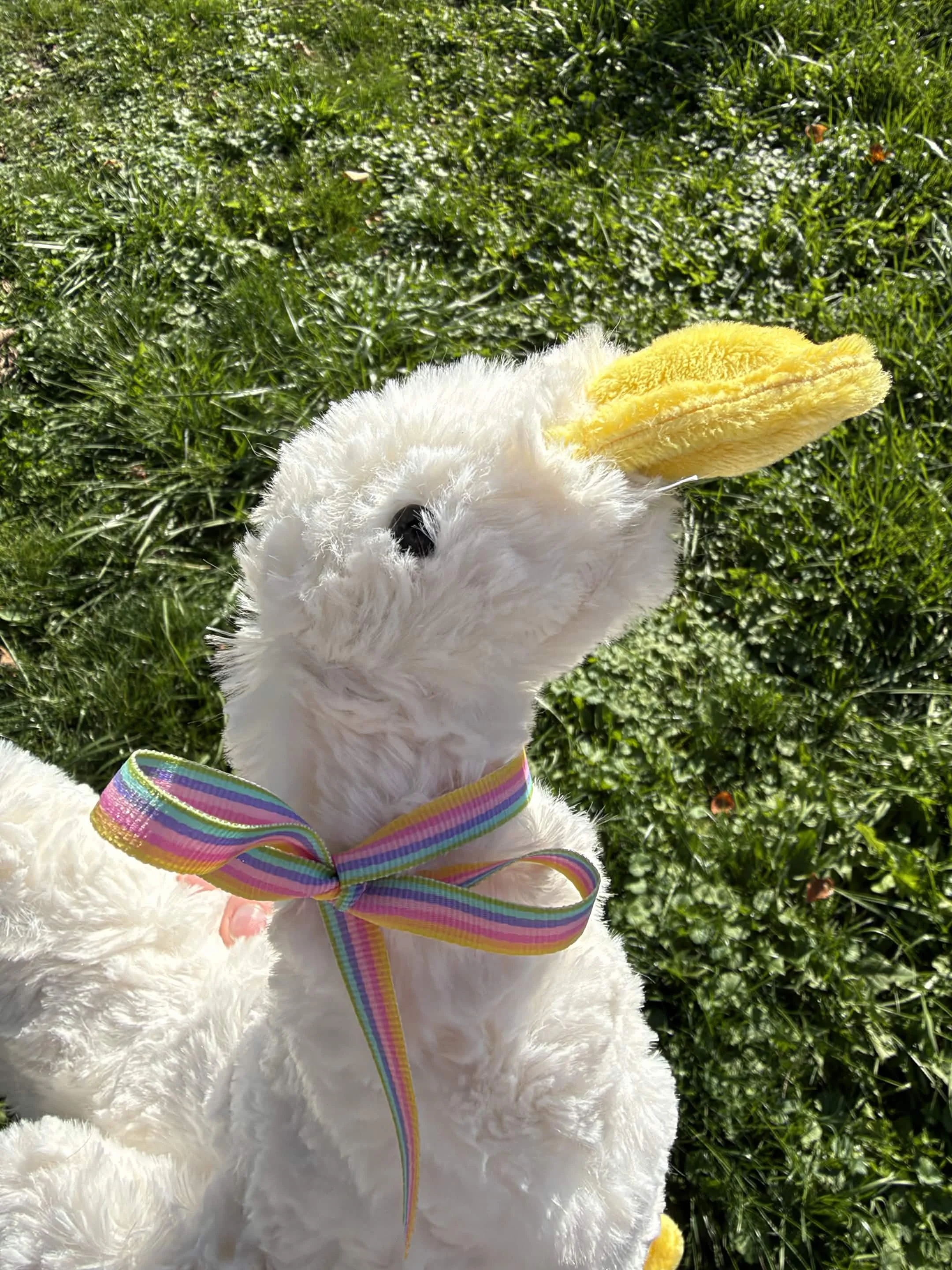 goose5.jpg