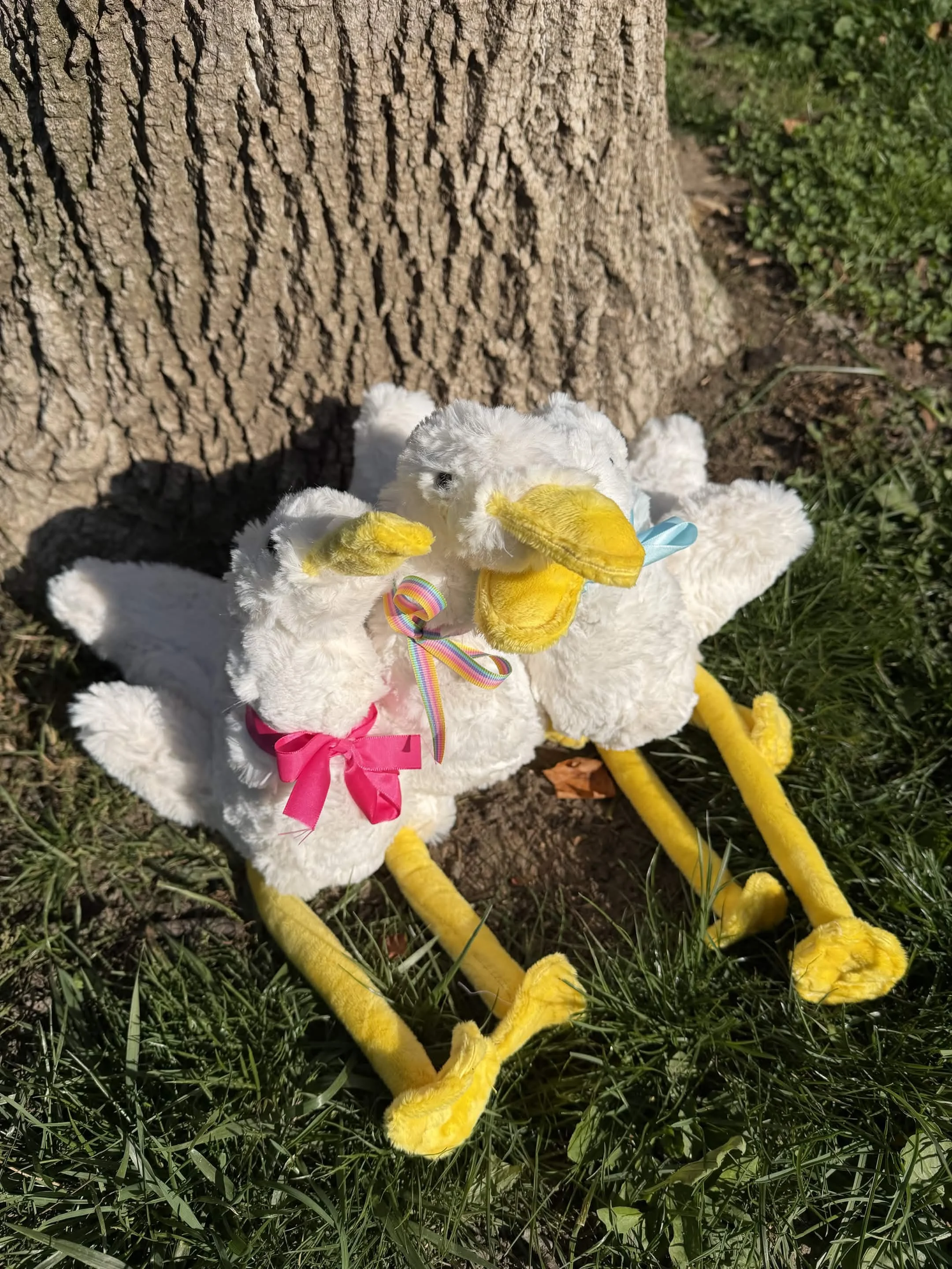 goose3.jpg
