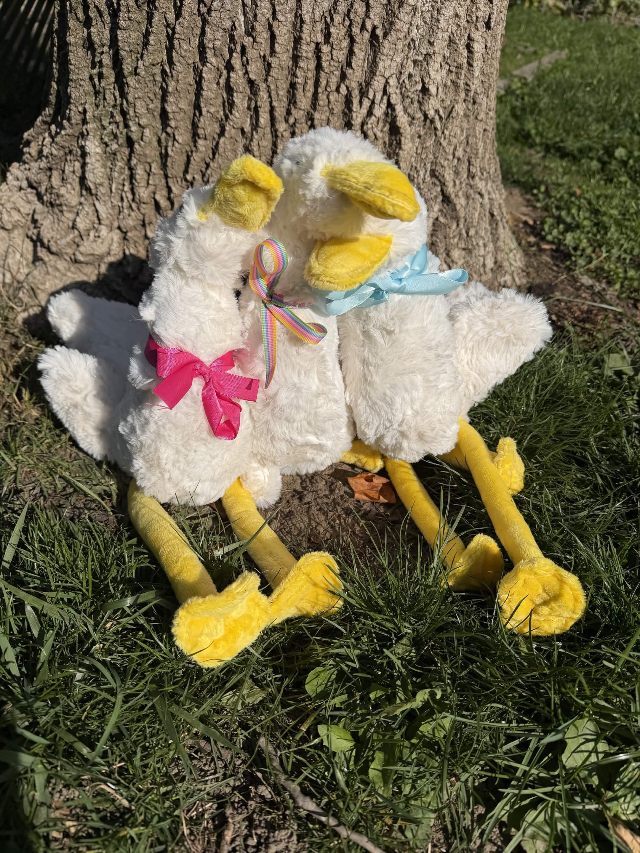 goose2.jpg