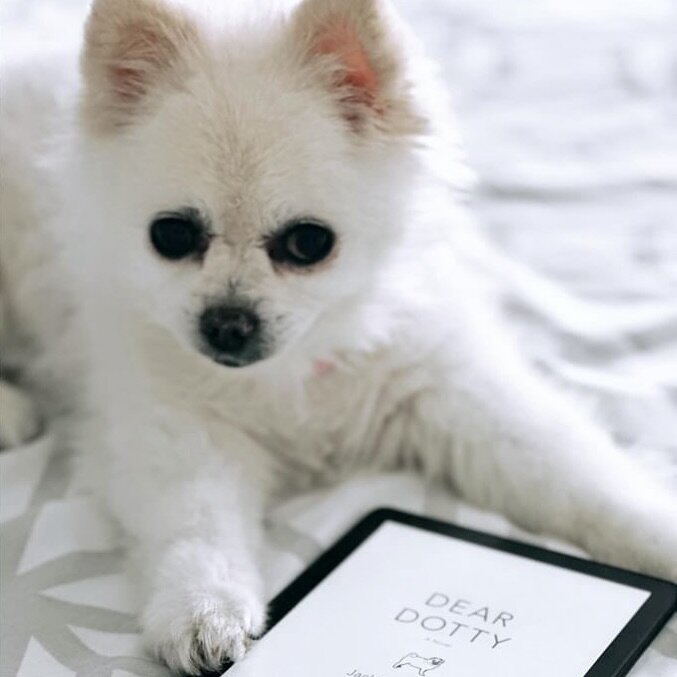 🚨I need your attention!! This is important.

@ellensteil&rsquo;s precious dog, Winnie liked my book 😭 Since Winnie isn&rsquo;t a very fast typer, Ellen wrote this glowing review for the two of them:

⭐️⭐️⭐️⭐️⭐️

&ldquo;The first thing I thought aft