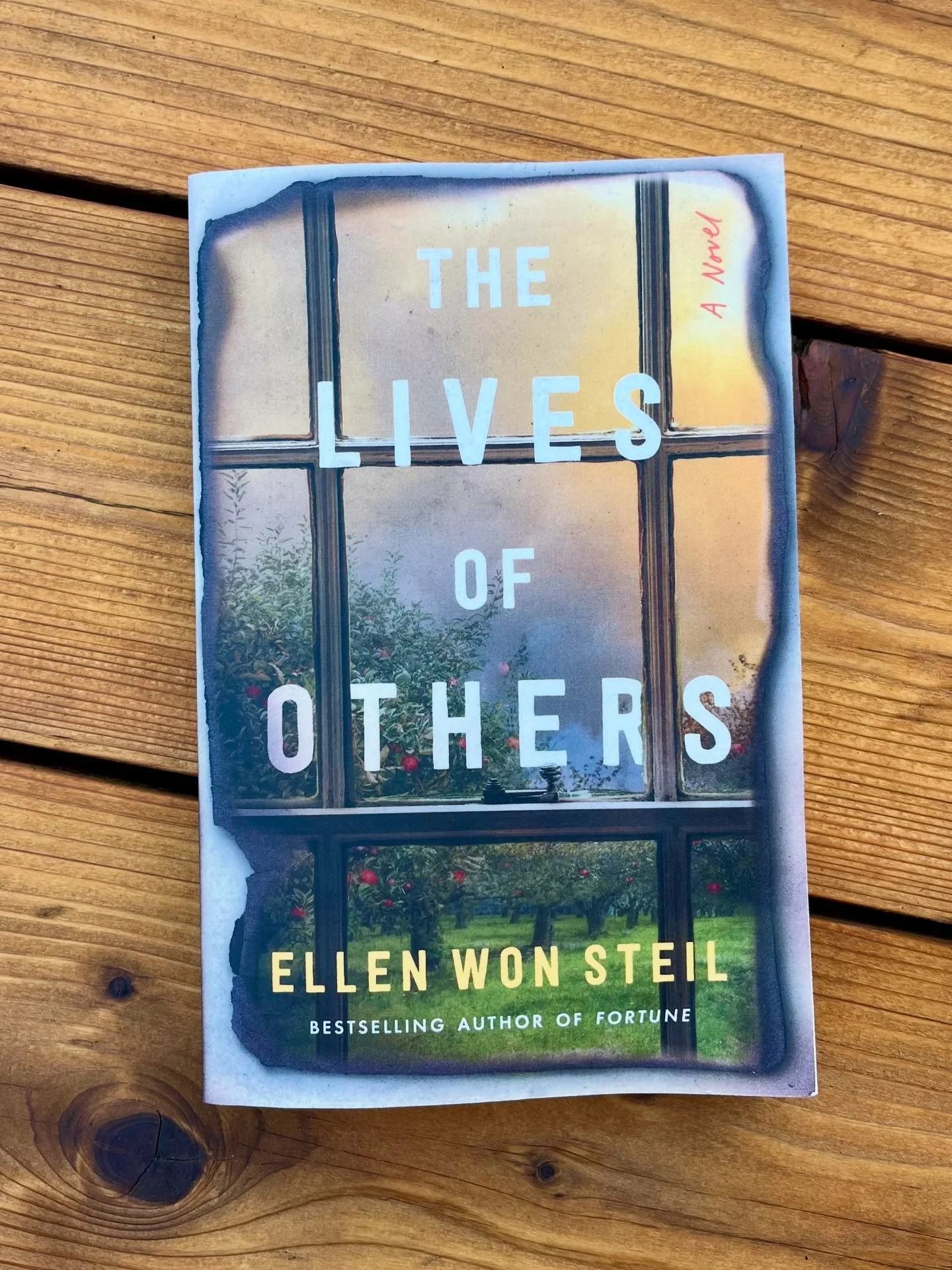 August might be slipping away like a bottle of wine, but now that this late-August release is mine, I&rsquo;m not letting it go. I looove @ellensteil&rsquo;s books and I&rsquo;m so excited to dive into her latest twisty tale!

🍎🍂🪟🔥🤫📚 

After te