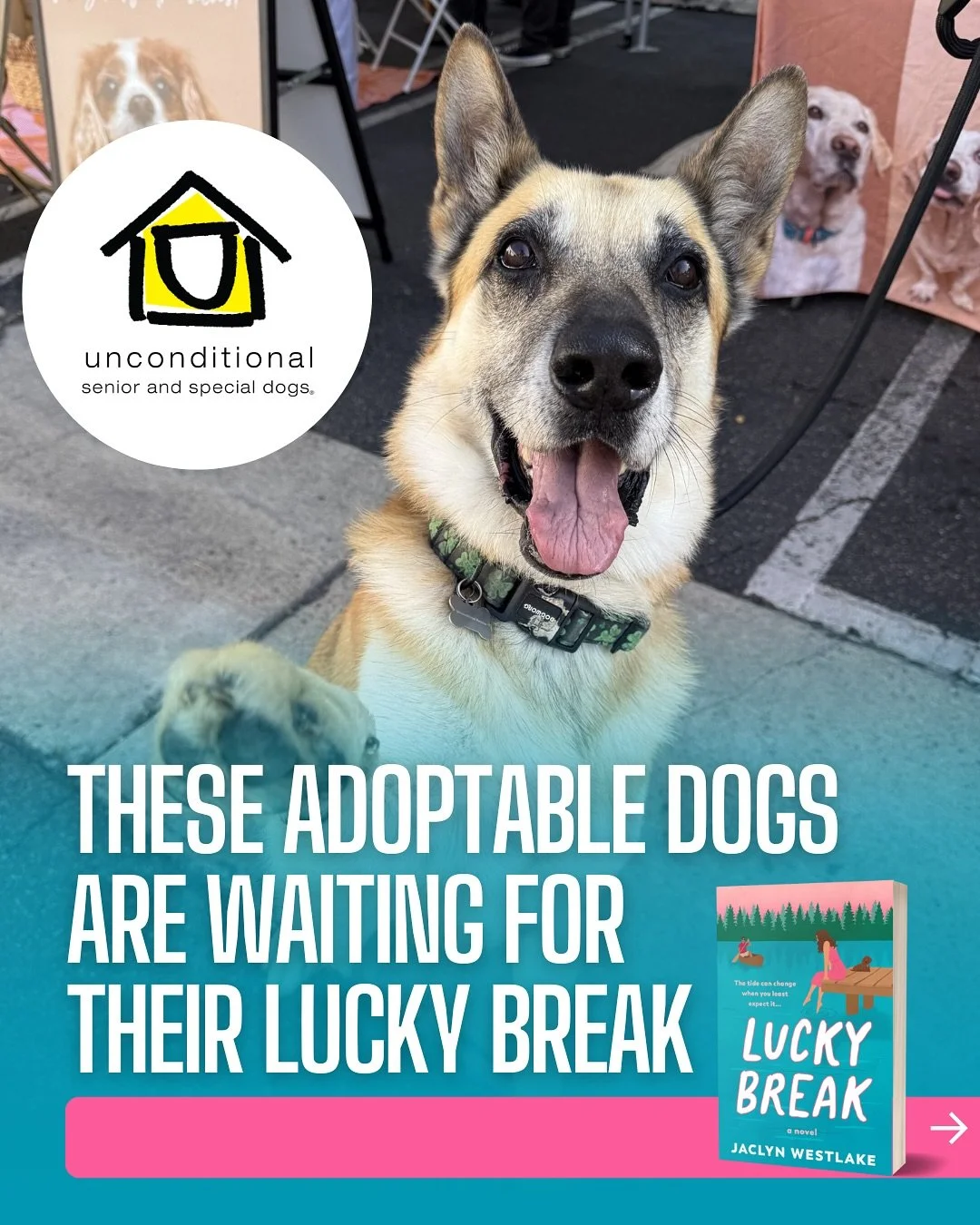 In Lucky Break, Eliza&rsquo;s new neighbors, Marge and Gal, foster senior and special needs dogs out of their home (it&rsquo;s just as cute as it sounds) and Eliza ends up adopting Potato, a sassy little tripod with a big personality. Eliza falls so 