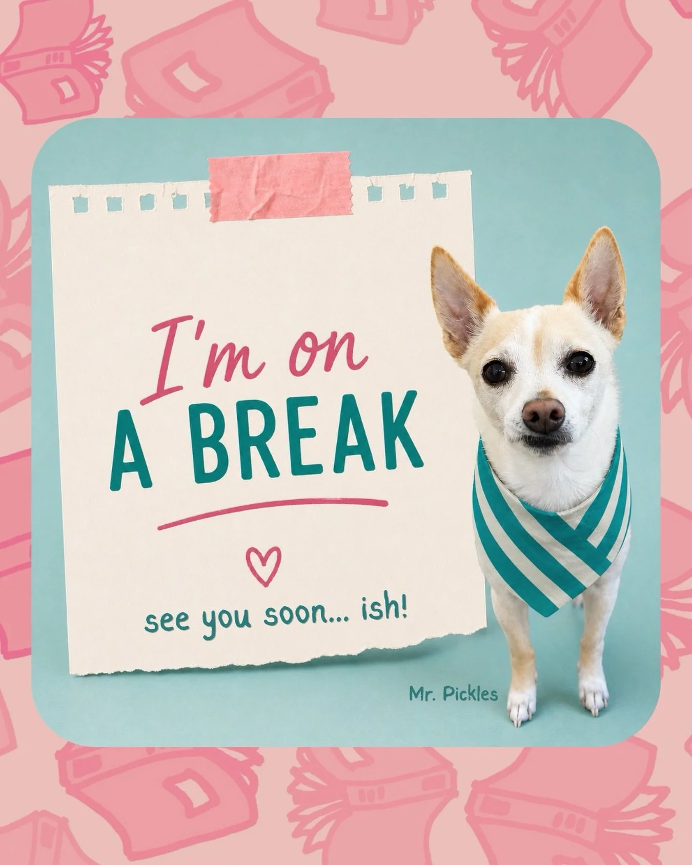 Hi! I&rsquo;m taking a break from my Instagram break to say that yes, I&rsquo;m still on an Instagram break.

I&rsquo;ve spent the last few months writing, hanging with Brian and Mr. Pickles, and genuinely enjoying some quiet offline time while worki