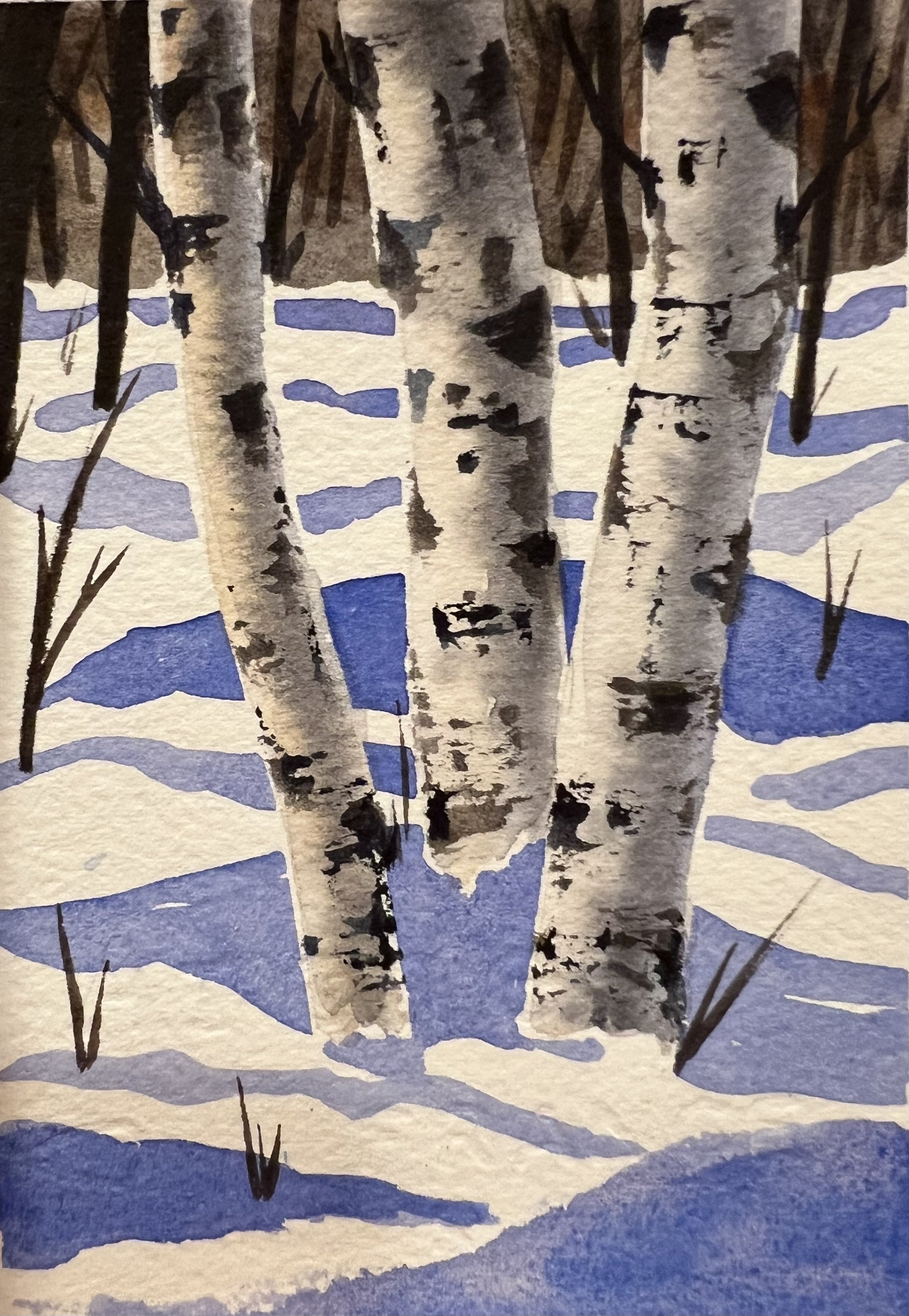 Winter Birch #2