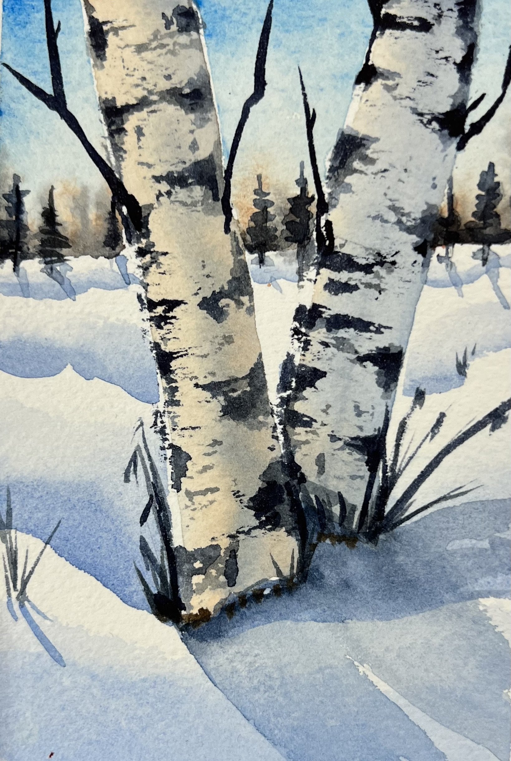 WinterBirch I.jpeg