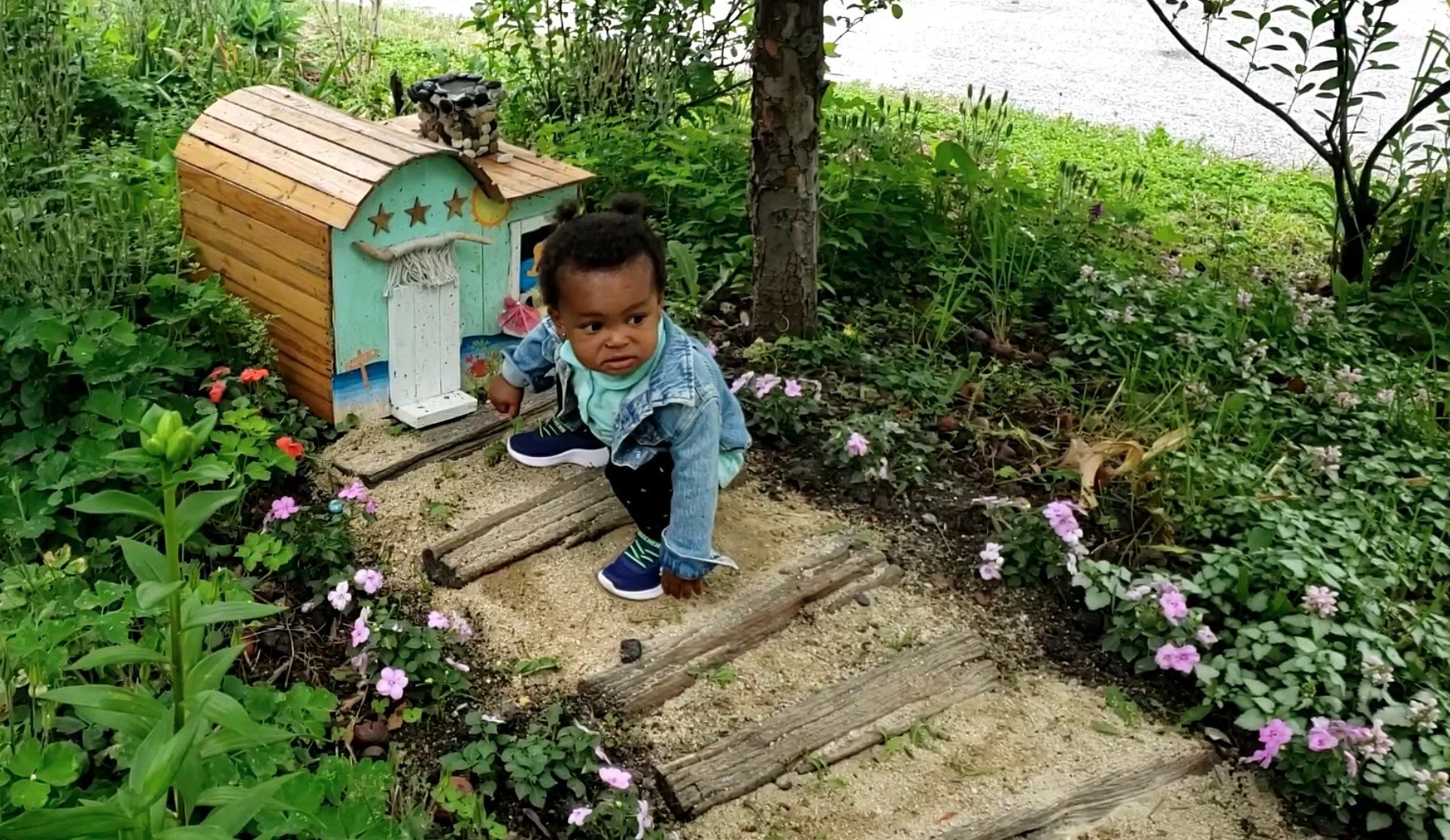 Screenshot 2026-02-17 111140.JPG