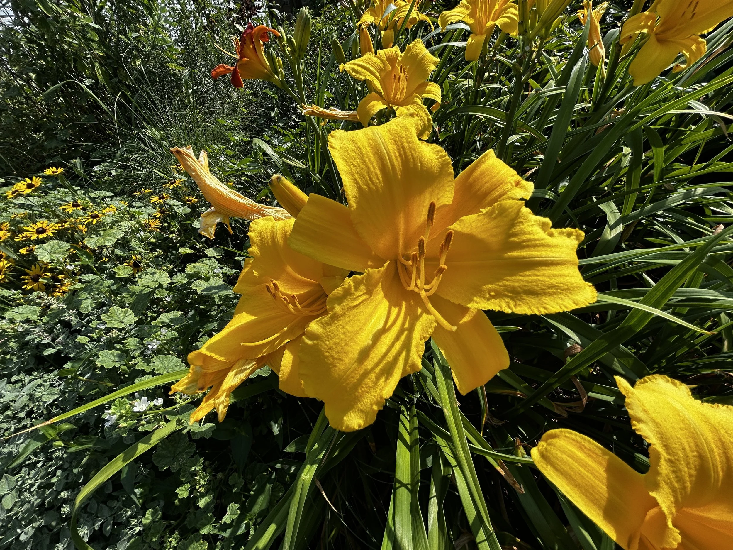 IMG_2476.JPG
