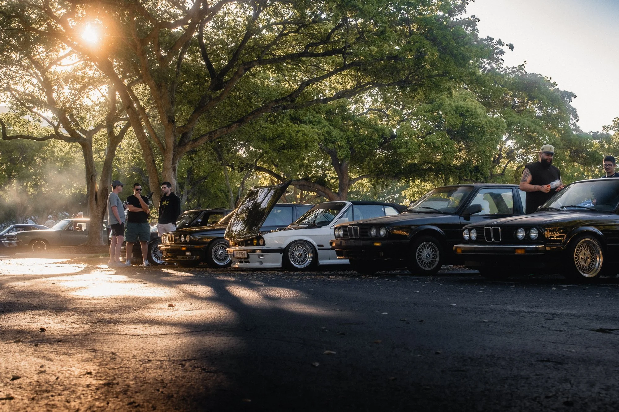 People gathered around classic BMW E30 cars parked under trees during a cars and coffee in Boca Raton with early morning sunlight filtering through the foliage.
