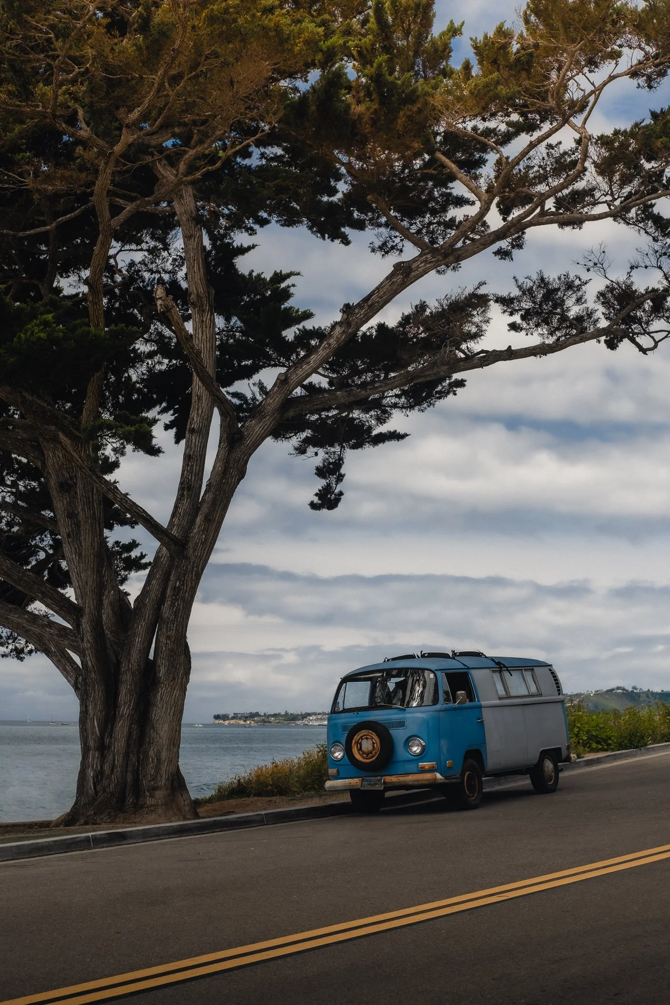 A blue and gray vintage Volkswagen camper bus parked by a large tree near the water of the Pacific Coast Highway during daytime with cloudy skies.