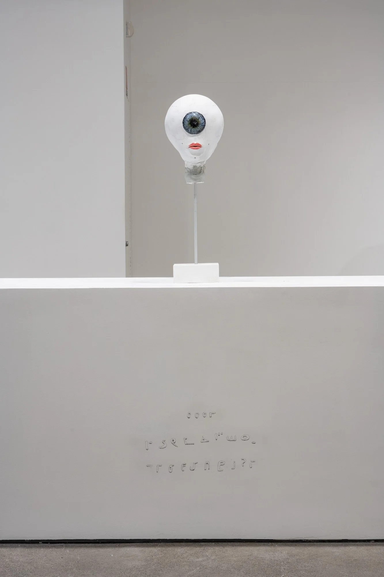 _PLB8169.jpg