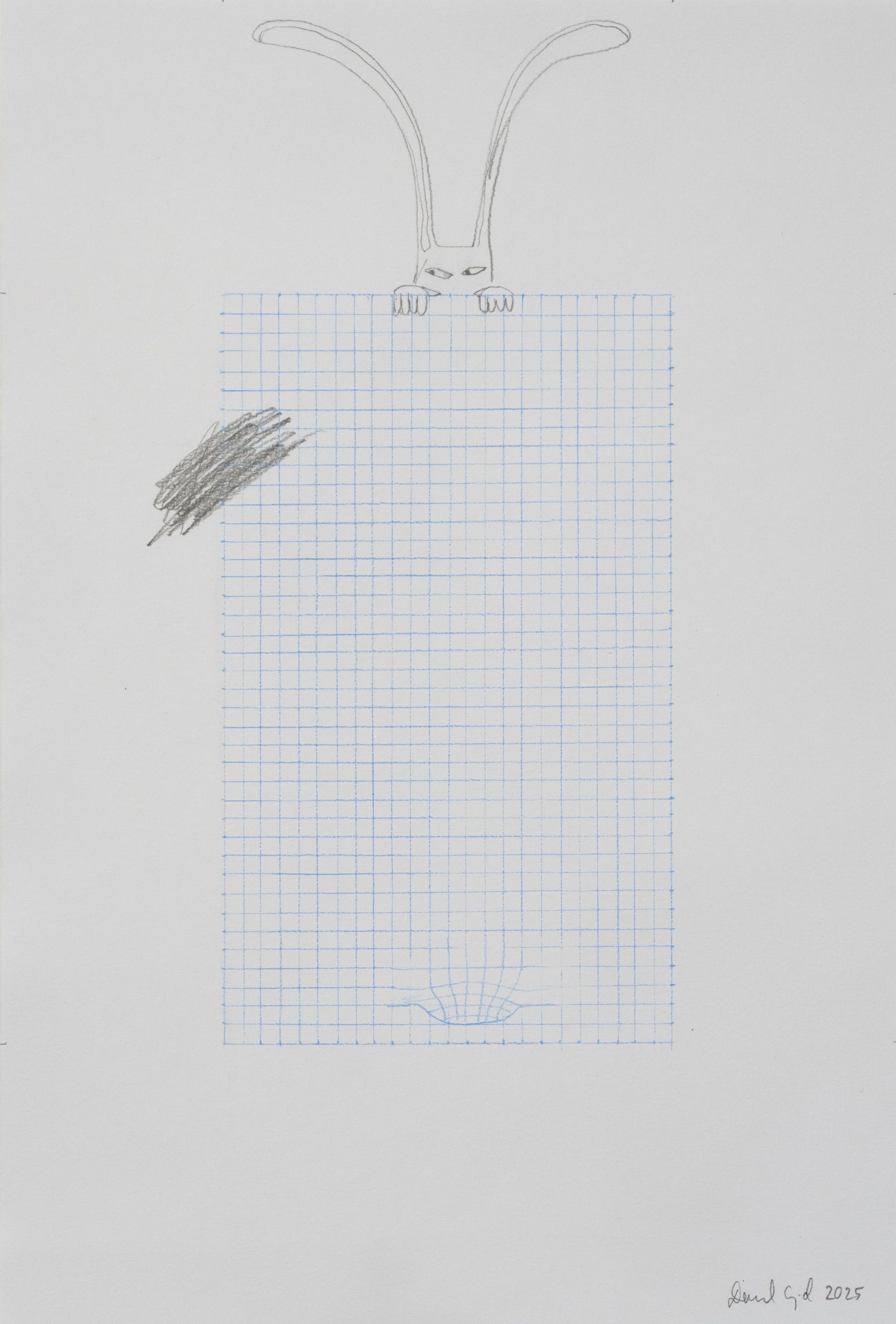 Untitled 8, (Lapins)