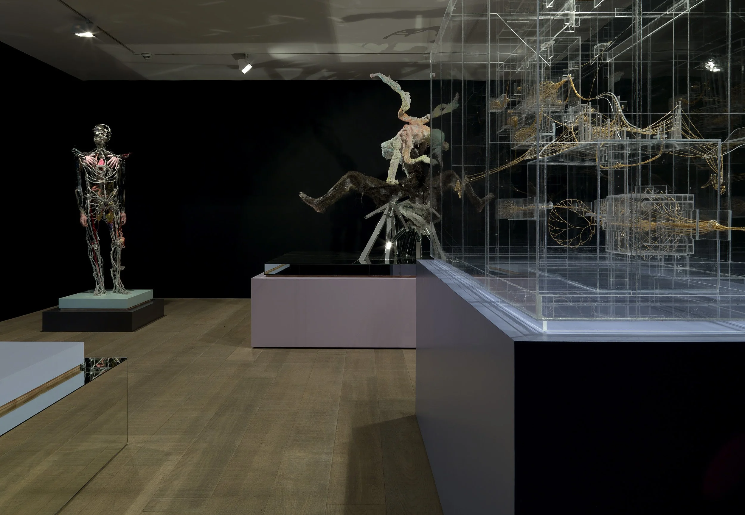 David Altmejd, Stuart Shave Modern Art, 2008 — David Altmejd