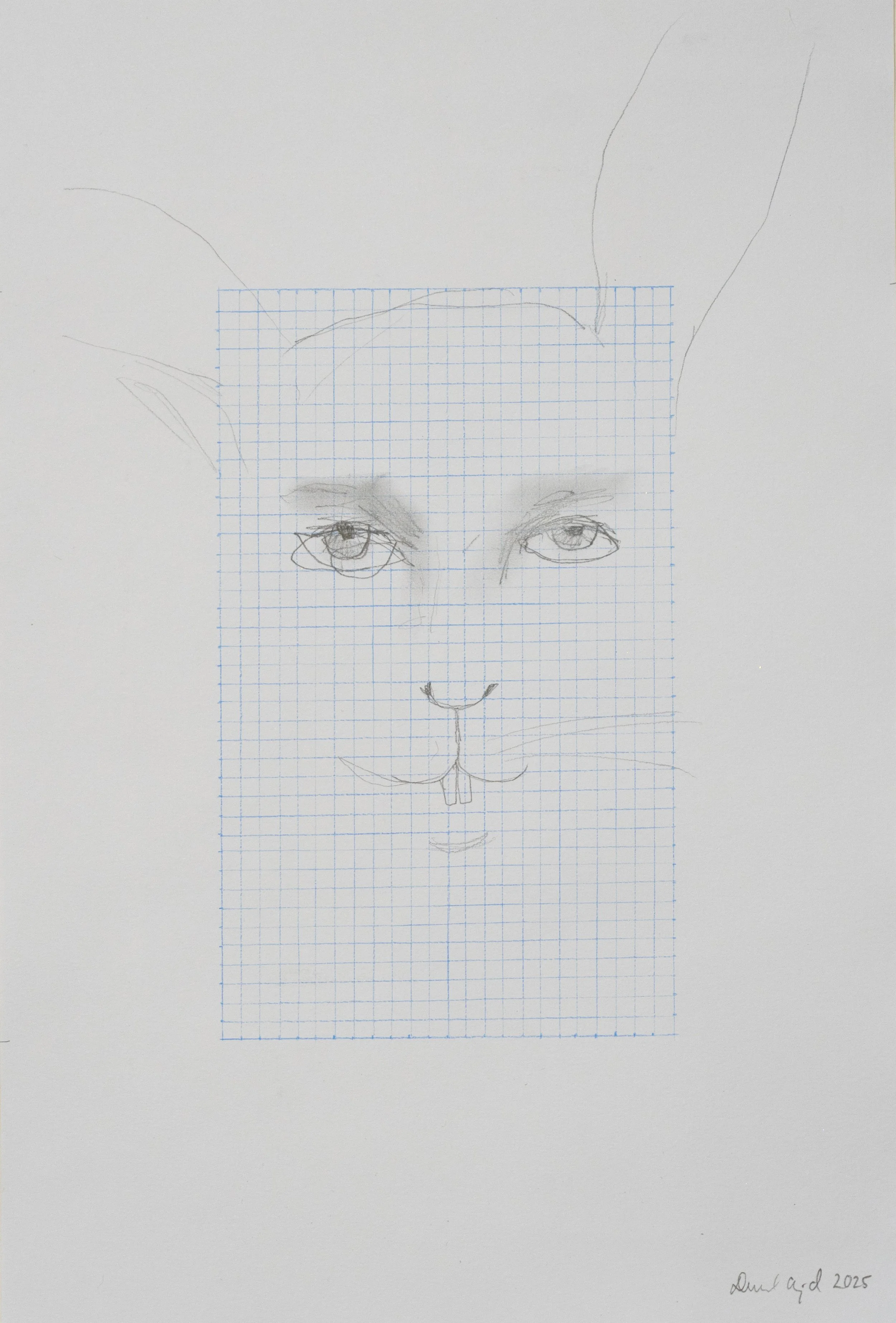 Untitled 11, (Lapins)